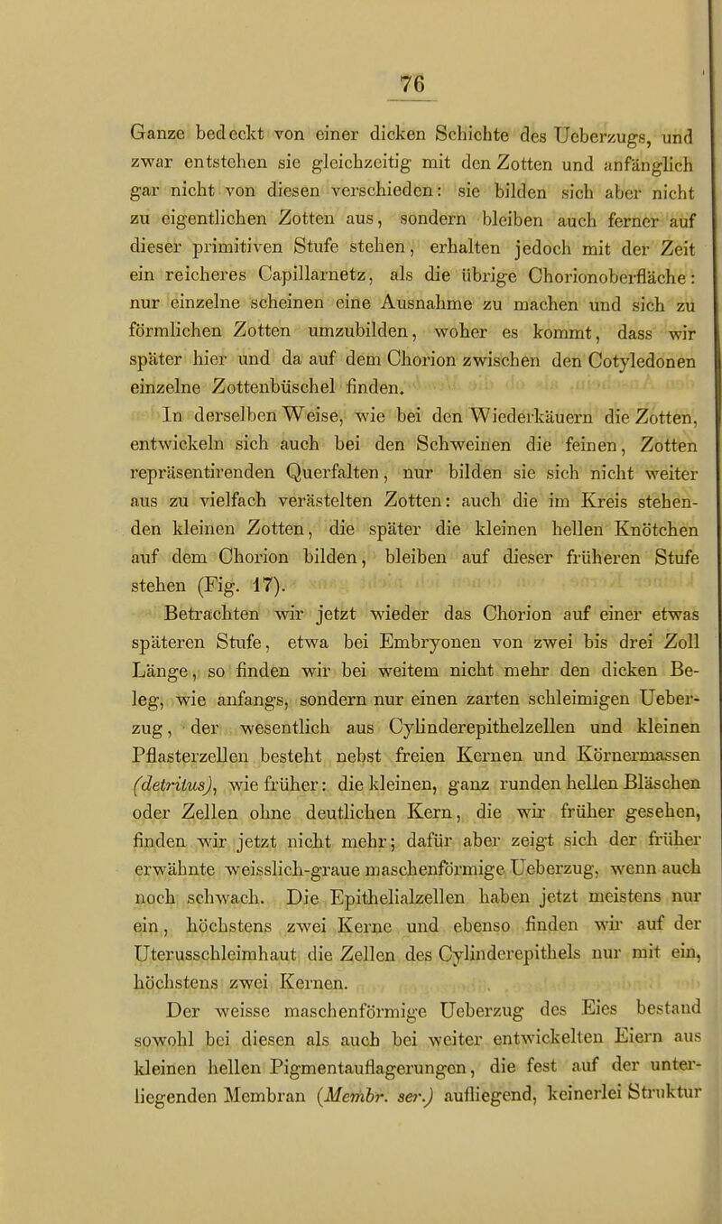 Ganze bedecltt von einer dicken Schichte des Ueberzugs, und zwar entstehen sie gleichzeitig mit den Zotten und anfänglich gar nicht von diesen verschieden: sie bilden sich aber nicht zu eigentlichen Zotten aus, sondern bleiben auch ferner auf dieser primitiven Stufe stehen, erhalten jedoch mit der Zeit ein reicheres Capillarnetz, als die übrige Chorionoberfläche: nur einzelne scheinen eine Ausnahme zu machen und sich zu förmlichen Zotten umzubilden, woher es kommt, dass wir später hier und da auf dem Chorion zwischen den Cotyledonen einzelne Zottenbüschel finden. In derselben Weise, wäe bei den Wiederkäuern die Zotten, entwickeln sich auch bei den Schweinen die feinen, Zotten repräsentirenden Querfalten, nur bilden sie sich nicht weiter aus zu vielfach verästelten Zotten: auch die im Kreis stehen- den kleinen Zotten, die später die kleinen hellen Knötchen auf dem Chorion bilden, bleiben auf dieser früheren Stufe stehen (Fig. 17). Betrachten wir jetzt wieder das Chorion auf einer etwas späteren Stufe, etwa bei Embryonen von zwei bis drei Zoll Länge, so finden wir bei weitem nicht mehr den dicken Be- leg, wie anfangs, sondern nur einen zarten schleimigen Ueber- zug, der wesentlich aus Cylinderepithelzellen und kleinen Pflasterzellen besteht nebst freien Kernen und Körnermassen (detriius), wie früher: die kleinen, ganz runden hellen Bläschen oder Zellen ohne deutlichen Kern, die wir früher gesehen, finden wir jetzt nicht mehr; dafür aber zeigt sich der früher erwähnte weisslich-graue maschenförmige üeberzug, wenn auch noch schwach. Die Epithelialzellen haben jetzt meistens nur ein, höchstens zwei Kerne und ebenso finden wir auf der Uterusschleimhaut die Zellen des Gylindcrepithels nur mit ein, höchstens zwei Kernen. Der weisse maschenförmige üeberzug des Eies bestand sowohl bei diesen als auch bei weiter entwickelten Eiern aus kleinen hellen Pigmentauflagerungen, die fest auf der unter- liegenden Membran (Membr. ser.J aufliegend, keinerlei Struktvn-