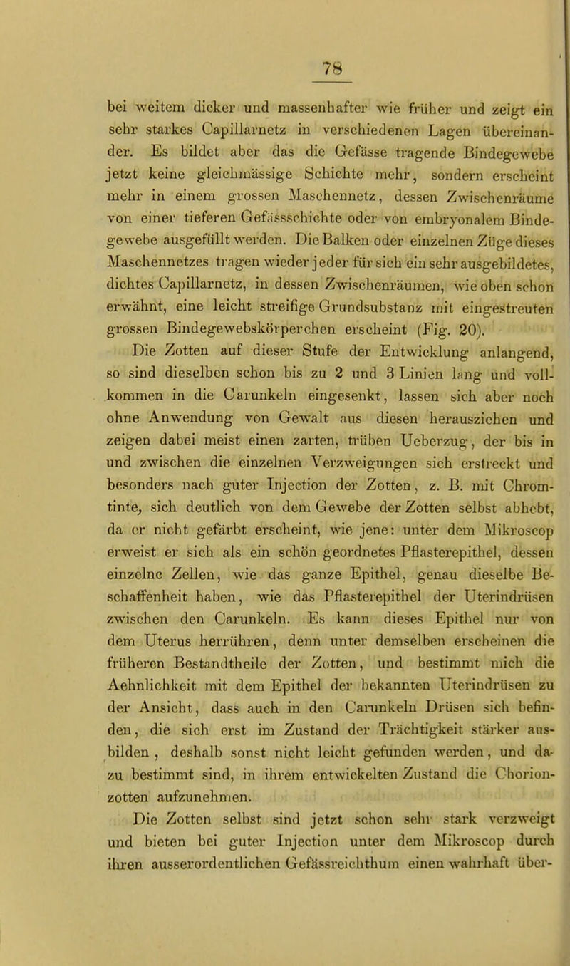 bei weitem dicker und massenhafter wie frülier und zeigt ein sehr starkes Capillarnetz in verschiedenen Lagen übereinnn- der. Es bildet aber das die Gefässe tragende Bindegewebe jetzt keine gleichraässige Schichte mehr, sondern erscheint mehr in einem grossen Masohennetz, dessen Zwischenräume von einer tieferen Gefiissschichte oder von embryonalem Binde- gewebe ausgefüllt werden. Die Balken oder einzelnen Züge dieses Maschennetzes ti-agen wieder jeder für sich ein sehr ausgebildetes, dichtes Capillarnetz, in dessen Zwischenräumen, wie oben schon erwähnt, eine leicht sti^eifige Grundsubstanz mit eingestreuten grossen Bindegewebskörperchen erscheint (Fig. 20). Die Zotten auf dieser Stufe der Entwicklung anlangend, so sind dieselben schon bis zu 2 und 3 Linien hng und voll- kommen in die Carunkeln eingesenkt, lassen sich aber noch ohne Anwendung von Gewalt aus diesen herausziehen und zeigen dabei meist einen zarten, trüben Ueberzug, der bis in und zwischen die einzelnen Verzweigungen sich erstreckt und besonders nach guter Injection der Zotten, z. B. mit Chrom- tinte^ sich deutlich von dem Gewebe der Zotten selbst abhebt, da er nicht gefärbt erscheint, wie jene: unter dem Mikroscop erweist er sich als ein schön geordnetes Pflastcrepithel, dessen einzelne Zellen, wie das ganze Epithel, genau dieselbe Be- schaffenheit haben, wie das Pflasterepithel der Uterindrüsen zwischen den Carunkeln. Es kann dieses Epithel nur von dem Uterus herrühren, denn unter demselben erscheinen die früheren Bestandtheile der Zotten, und bestimmt mich die Aehnlichkeit mit dem Epithel der bekannten Uterindrüsen zu der Ansicht, dass auch in den Carunkeln Drüsen sich befin- den, die sich erst im Zustand der Trächtigkeit stärker aus- bilden , deshalb sonst nicht leicht gefunden werden, und da- zu bestimmt sind, in ihi-em entwickelten Zustand die Chorion- zotten aufzunehmen. Die Zotten selbst sind jetzt schon sehr stark verzweigt und bieten bei guter Injection unter dem Mikroscop durch ihren ausserordentlichen Gefässreichthum einen wahrhaft über-