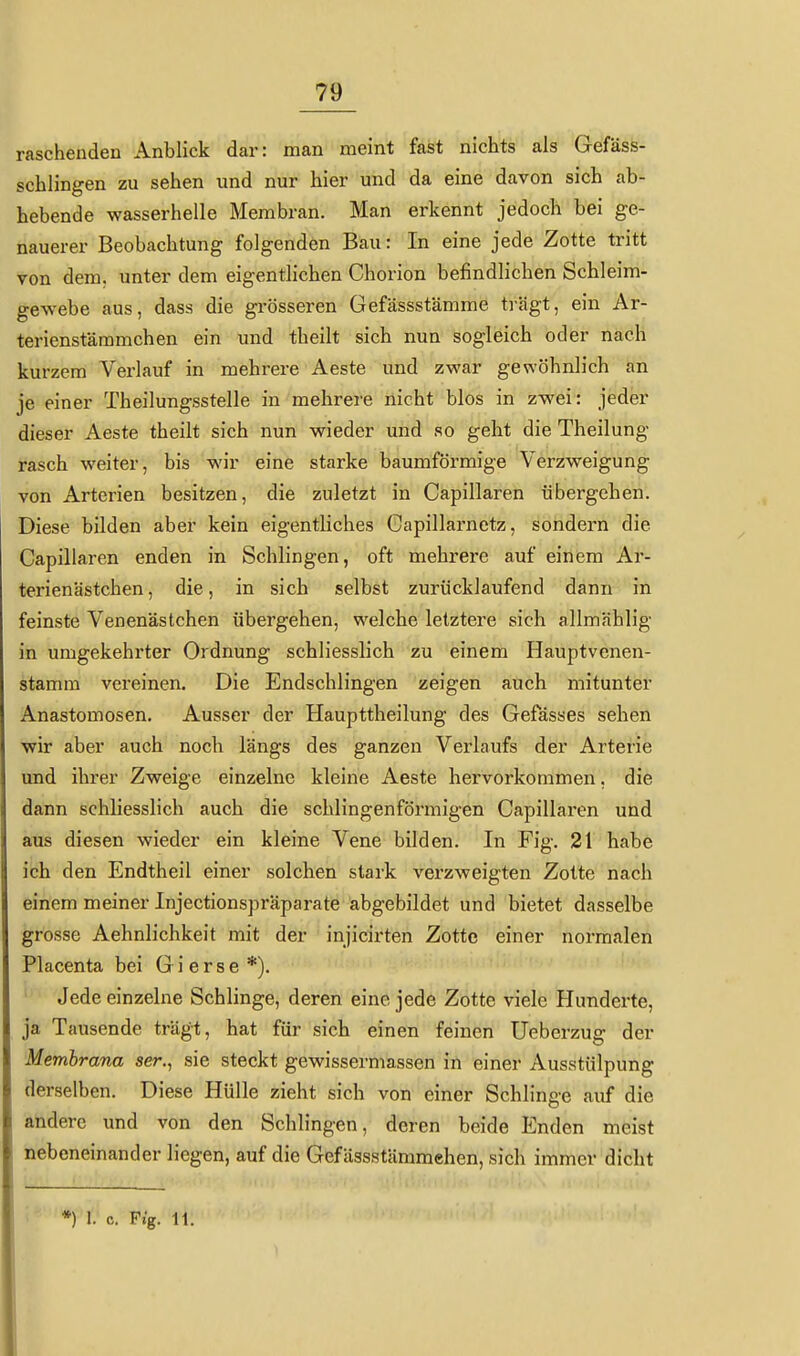 raschenden Anblick dar: man meint fast nichts als Gefäss- schlingen zu sehen und nur hier und da eine davon sich ab- hebende wasserhelle Membran. Man erkennt jedoch bei ge- nauerer Beobachtung folgenden Bau: In eine jede Zotte tritt von dem. unter dem eigentlichen Chorion befindlichen Schleim- gewebe aus, dass die grösseren Gefässstämme trägt, ein Ar- terienstämmchen ein und theilt sich nun sogleich oder nach kurzem Verlauf in mehrere Aeste und zwar gewöhnlich an je einer Theilungsstelle in mehrere nicht blos in zwei: jeder dieser Aeste theilt sich nun wieder und so geht die Theilung rasch weiter, bis wir eine starke baumförmige Verzweigung von Arterien besitzen, die zuletzt in Capillaren übergehen. Diese bilden aber kein eigentliches Capillarnetz, sondern die Capillaren enden in Schlingen, oft mehrere auf einem Ar- terienästchen, die, in sich selbst zurücklaufend dann in feinste Venenästchen übergehen, welche letztere sich allmählig in umgekehrter Ordnung schliesslich zu einem Hauptvenen- stamm vereinen. Die Endschlingen zeigen auch mitunter Anastomosen. Ausser der Haupttheilung des Gefässes sehen wir aber auch noch längs des ganzen Verlaufs der Arterie und ihrer Zweige einzelne kleine Aeste hervorkommen, die dann schliesslich auch die schlingenförmigen Capillaren und aus diesen wieder ein kleine Vene bilden. In Fig. 21 habe ich den Endtheil einer solchen stark verzweigten Zotte nach einem meiner Injectionspräparate abgebildet und bietet dasselbe grosse Aehnlichkeit mit der injicirten Zotte einer normalen Placenta bei G i e r s e *). Jede einzelne Schlinge, deren eine jede Zotte viele Hunderte, ja Tausende trägt, hat für sich einen feinen Ueberzug der Membrana ser., sie steckt gewissermassen in einer Ausstülpung derselben. Diese Hülle zieht sich von einer Schlinge auf die andere und von den Schlingen, deren beide Enden meist nebeneinander liegen, auf die Gefässstämmehen, sich immer dicht *) 1. c. Ft'g. 11.