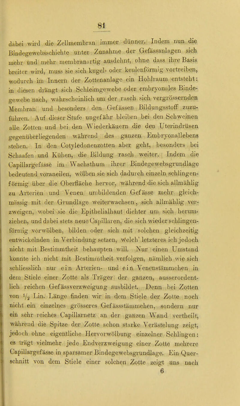 dabei wird die Zellmembran immer dünner. Indem nun die Bindegewebsschichte unter Zunahme der Gefässanlagen sich mehr und mehr membran;irtig ausdehnt, ohne dass ihre Basis breiter wird, muss sie sich kugel- oder keulenförmig vortreiben, wodurch im Innern der Zottenanlage ein Hohlraum entsteht: in diesen drängt sich Schleimgewebe oder embryonfiles Binde- o-ewebe nach, wakrscheinlich um der rasch sich vergrössernden Membran und besonders den Gefässen Bildungsstoff zuzu- fühi-cn. Auf dieser Stufe ungefähr bleiben bei den Schweinen alle Zotten und bei den Wiederkäuern die den Uterindrüsen gegenüberliegenden während des ganzen Embryonallebens stehen. In den Cotyledonenzotten aber geht, besonders bei Schaafen und Kühen, die Bildung rasch weiter. Indem die Capillargefässe im Wachsthum ihrer Bindegewebsgrundlage bedeutend voraneilen, wölben sie sich dadurch einzeln schlingen- f örmig über die Oberfläche hervor, während die sich allmählig zu Arterien und Venen umbildenden Gefässe mehr gleich- massig mit der Grundlage weiterwachsen. sich allmählig ver- zweigen, wobei sie die Epithelialhaut dichter um sich herum- ziehen, und dabei stets neue Capillaren, die sich wieder schlingen- förmig vorwölben, bilden oder sich mit solchen gleichzeitig entwickelnden in Verbindimg setzen, Welch' letzteres ich jedoch nicht mit Bestimmtheit behaupten will. Nur einen Umstand konnte ich nicht mit Bestimmtheit verfolgen, nämlich wie sich schliesslich nur ein Arterien- und ein Venenstämmchen in dem Stiele einer Zotte als Träger der ganzen, ausserordent- lich reichen Gef ässverzweigung ausbildet. Denn bei Zotten von 1/2 Lin. Länge finden wir in dem Stiele der Zotte noch nicht ein einzelnes grösseres Gef ässstämmchen, sondern nur ein sehr reiches Capillarnetz an der ganzen Wand vertheilt, während die Spitze der Zotte schon starke Verästelung zeigt, jedoch ohne eigentliclio Hervorwölbung einzelner Schlingen: es trägt vielmehr jede Endverzweigung einer Zotte mehrere Capillargefässe in sparsamer Bindegewebsgrundlage. Ein Quer- schnitt von dem Stiele einer solchen Zotte zeigt uns nach 6