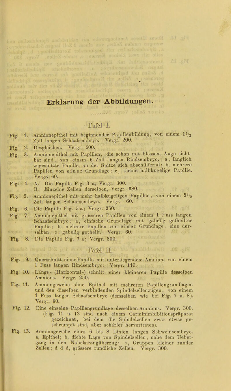 Erklärung der Abbildungen. Tafel I. Fig. 1. Äjnnionepithel mit beginnender Papillenbildung, von einem IV2 Zoll langen Schaafsembryo. Vergr. 200. Fig. 2. Desgleichen. Yergr. 500. Fig. 3. Amnionepithel mit Papillen, die schon mit blossem Auge sicht- bar sind, von einem 6 Zoll langen Rindsembryo, a, länglich zugespitzte Papille, an der Spitze sich abschülfernd; b, mehrere Papillen von einer Grundlage; c, kleine halbkugelige Papille. Vergr. 60. Fig. 4. A. Die Papille Fig. 3 a, Vergr. 300. B. Einzelne Zellen derselben, Vergr. 680. Fig. 5. Amnionepithel mit mehr halbkugeligen Papillen, von einem 51/2 Zoll langen Schaafsembryo. Vergr. 60. Fig, 6. Die Papille Fig. 5a; Vergr. 250. Fig. 7. Amnionepithel mit grösseren Papillen von einem 1 Fuss langen * Schaafsembryo; a, einfache Grundlage mit gabelig getheilter Papille; b, mehrere Papillen von einer Grundlage, eine der- f selben , c , gabelig getheilt. Vergr. 60. Fig. 8. Die PapiUe Fig. 7 a; Vergr. 300. Tafel IL Fig. 9. Querschnitt einer Papille mit unterliegendem Amnion, von einem 1 Fuss langen Rindsembryo. Vergr. 110. Fig. 10. Längs- (Horizontal-) schnitt einer kleineren Papille desselben Amnions. Vergr. 250. Fig. 11. Amniongewebe ohne Epithel mit mehreren Papillengrundlagen und den dieselben verbindenden Spindelzellenzügen, von einem 1 Fuss langen Schaafsembryo (demselben wie bei Fig. 7 u. 8). Vergr. 60. Fig. 12. Eine einzelne Papillengrundlage desselben Amnions. Vergr. 300. (Fig. 11 u. 12 sind nach einem Carminimbibitionspräparat gezeichnet, bei dem die Spindelzellcn zwar etwas ge- schrumpft sind, aber schärfer hervortreten). Fig. 13. Amniongewebe eines 6 bis 8 Linien langen Schweinsembryo. a, Epithel; b, dichte Lage von Spindelzellen, nahe dem Ucber- gang in den Nabelstrangüberzug; c, Gruppen kleiner runder Zellen; d d d, grössere rundliche Zellen. Vergr. 300.