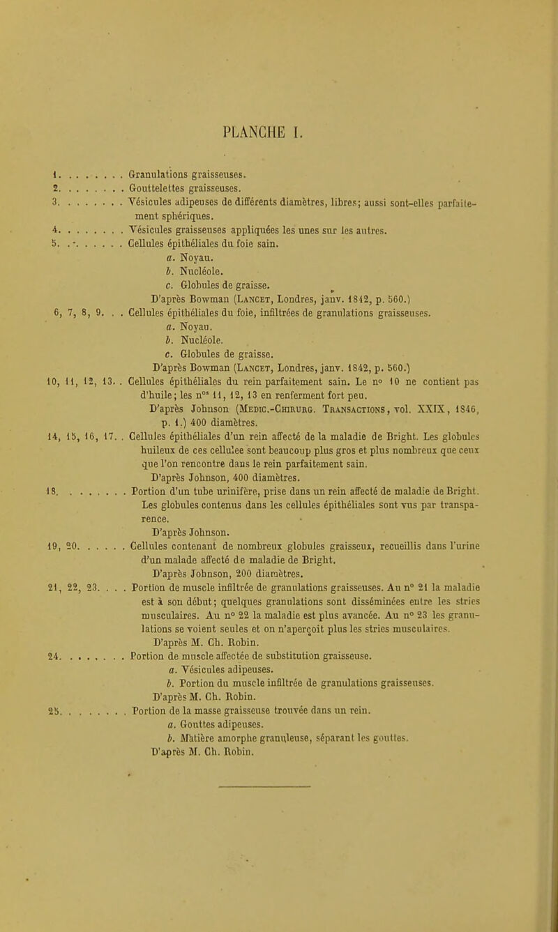 1 Granulations graisseuses. 2 Gouttelettes graisseuses. 3 Vésicules adipeuses de différents diamètres, libre.s; aussi sont-elles parfaite- ment sphériques. 4 Vésicules graisseuses appliquées les unes sur les autres. b. . • Cellules épilhéliales du foie sain. a. Noyau. b. Nucléole. c. Globules de graisse. D'après Bowman (Lancet, Londres, janv. 1842, p. 560.) 6, 7, 8, 9. . . Cellules épithéliales du foie, infiltrées de granulations graisseuses. 0. Noyau. b. Nucléole. c. Globules de graisse. D'après Bowman (Lancet, Londres, janv. 1842, p. 560.^ 10, H, 12, 13. . Cellules épithéliales du rein parfaitement sain. Le n» 10 ne contient pas d'huile; les n°' 11, 12, 13 en renferment fort peu. D'après Johuson (Medic.-Chirurg. Transactions, vol. XXIX, 1S46, p. 1.) 400 diamètres. 14, 15, 16, 17. . Cellules épithéliales d'un rein affecté de la maladie de Bright. Les globules huileux de ces cellulee sont beaucoup plus gros et plus nombreux que ceux que l'on rencontre dans le rein parfaitement sain. D'après Johnson, 400 diamètres. 18 Portion d'un tube urinifère, prise dans un rein affecté de maladie de Bright. Les globules contenus dans les cellules épithéliales sont vus par transpa- rence. D'après Johnson. 19, 20 Cellules contenant de nombreux globules graisseux, recueillis dans l'urine d'un malade affecté de maladie de Bright. D'après Johnson, 200 diamètres. 21, 22, 23. . . . Portion de muscle infiltrée de granulations graisseuses. Au n° 21 la maladie est à sou début; quelques granulations sont disséminées entre les stries musculaires. Au n° 22 la maladie est plus avancée. Au n° 23 les granu- lations se voient seules et on n'aperçoit plus les stries musculaires. D'après M. Ch. Eobin. 24 Portion de muscle affectée de substitution graisseuse. a. Vésicules adipeuses. b. Portion du muscle infiltrée de granulations graisseuses. D'après M. Ch. Robin. 25 Portion de la masse graisseuse trouvée dans un rein. a. Gouttes adipeuses. *. fli'atière amorphe granuleuse, séparant les gouttes. D'après M. Ch. Robin.