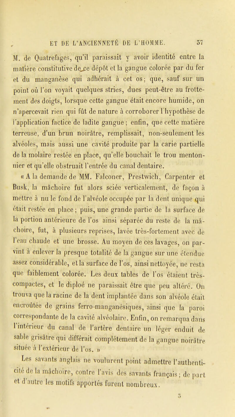 M. de Quatrefages, qu'il paraissait y avoir identité entre la matière constitutive de^e dépôt et la gangue colorée par du fer et du manganèse qui adhérait à cet os ; que, sauf sur un point où l'on voyait quelques stries, dues peut-être au frotte- ment des doigts, lorsque cette gangue était encore humide, on n'apercevait rien qui fût de nature à corroborer I hypothèse de l'apphcation factice de ladite gangue ; enfin, que cette matière terreuse, d'un brun noirâtre, remplissait, non-seulement les alvéoles, mais aussi une cavité produite par la carie partielle de la molaire restée en place, qu'elle bouchait le trou menton- nier et qu'elle obstruait l'entrée du canal dentaire. « A la demande de MM. Falconer, Prestwich, Carpenter et Busk, la mâchoire fut alors sciée verticalement, de façon à mettre à nu le fond de l'alvéole occupée par la dent unique qui était restée en place ; puis, une grande partie de la surface de la portion antérieure de l'os ainsi séparée du reste de la mâ- choire, fut, à plusieurs reprises, lavée très-fortement avec de l'eau chaude et une brosse. Au moyen de ces lavages, on par- vint à enlever la presque totalité de la gangue sur une étendue assez considérable, et la surface de l'os, ainsi nettoyée, ne resta que faiblement colorée. Les deux tables de l'os étaient très- compactes, et le diploé ne paraissait être que peu altéré. On trouva que la racine de la dent implantée dans son alvéole était encroûtée de grains ferro-manganésiques, ainsi que la paroi correspondante de la cavité alvéolaire. Enfin, on remarqua dans l'intérieur du canal de l'artère dentaire un léger enduit de sable grisâtre qui différait complètement de la gangue noirâtre située à l'extérieur de l'os. » Les savants anglais ne voulurent point admettre l'authenti- cilé de la mâchoire, contre l'avis des savants français ; de i)arl et d'autre les motifs apportés furent nombreux.