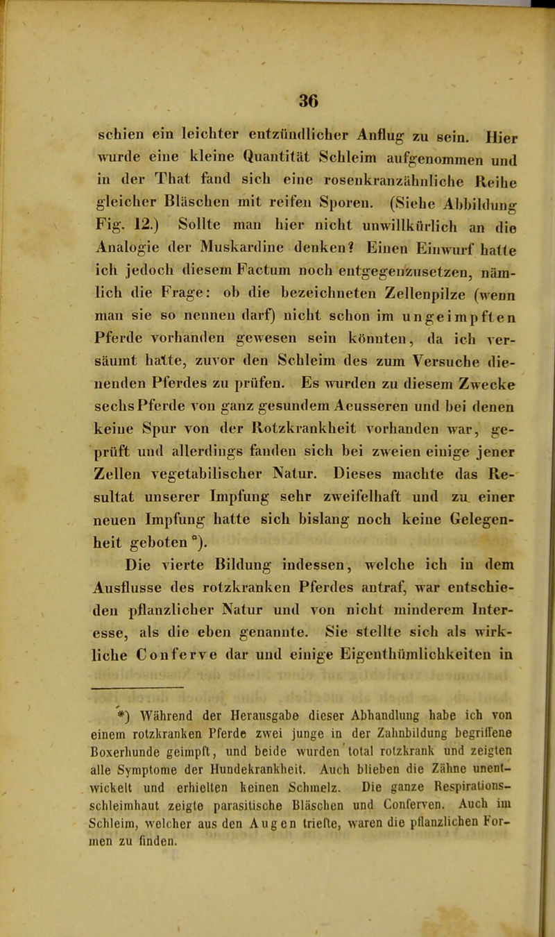 schien ein leichter entzündlicher Anflug zu sein. Hier wnirde eine kleine Quantität Schleim aufgenommen und in der That fand sich eine rosenkranziihnliche Reihe gleicher Bläschen mit reifen Sporen. (Siehe Abhildung Fig. 12.) Sollte man hier nicht unwillkürlich an die Analogie der Muskardine denken? Einen Einwiu-f hatte ich jedoch diesem Factum noch entgegenzusetzen, näm- lich die Frage: ob die bezeichneten Zellenpilze (wenn man sie so nennen darf) nicht schon im ungeimpften Pferde vorhanden gewesen sein könnten, da ich ver- säumt hatte, zuvor den Schleim des zum Versuche die- nenden Pferdes zu prüfen. Es wurden zu diesem Zwecke sechs Pferde von ganz gesundem Aeusseren und bei denen keine Spur von der Rotzkrankheit vorhanden war, ge- prüft und allerdiugs fanden sich bei zweien einige jener Zellen vegetabilischer Natur. Dieses machte das Re- sultat unserer Impfung sehr zweifelhaft und za einer neuen Impfung hatte sich bislang noch keine Gelegen- heit geboten*). Die vierte Bildung indessen, welche ich in dem Ausflusse des rotzkranken Pferdes antraf, war entschie- den pflanzlicher Natur und von nicht minderem Inter- esse, als die eben genannte. Sie stellte sich als wirk- liche Conferve dar und einige Eigenthümlicbkeiten in '*) Während der Herausgabe dieser Abhandlung habe ich von einem rolzliranken Pferde zwei junge in der Zahnbildung begriffene Boxerliunde geimpft, und beide wurden total rotzkrank und zeigten alle Symptome der Hundekrankheit. Auch blieben die Zähne unent- wickelt und erhielten keinen Schmelz. Die ganze Respirations- schleimhaut zeigte parasitische Bläschen und Conferven. Auch im Schleim, welcher aus den Augen triefte, waren die pflanzlichen For- men zu finden.