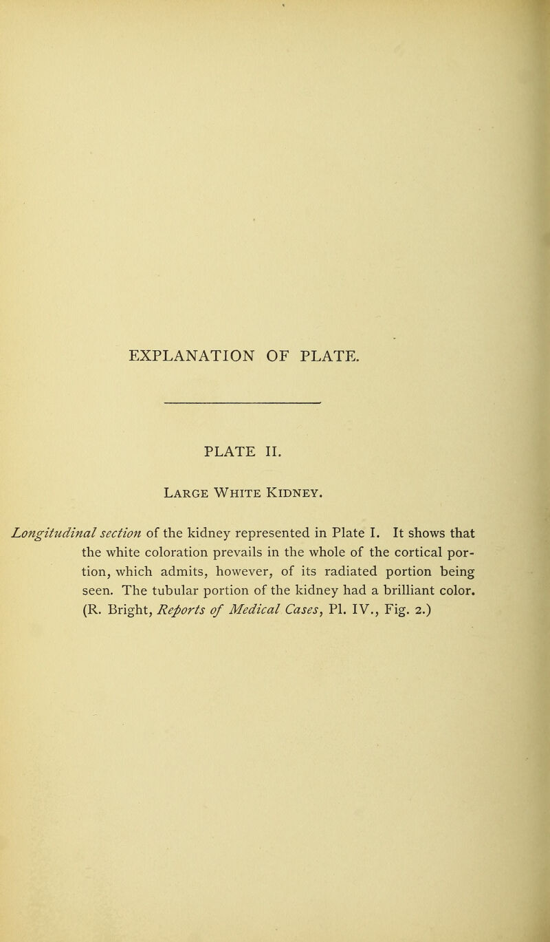 PLATE IL Large White Kidney. Longitudinal section of the kidney represented in Plate L It shows that the white coloration prevails in the whole of the cortical por- tion, which admits, however, of its radiated portion being seen. The tubular portion of the kidney had a brilliant color. (R. Bright, Reports of Medical Cases, PI. IV., Fig. 2.)