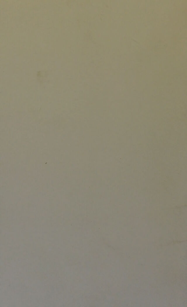 digitised image 2