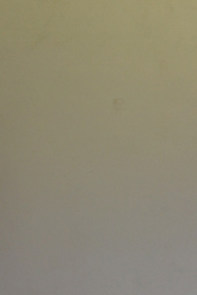 digitised image 1
