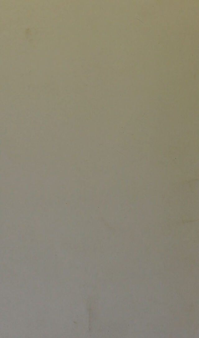 digitised image 2