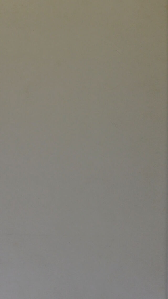 digitised image 2
