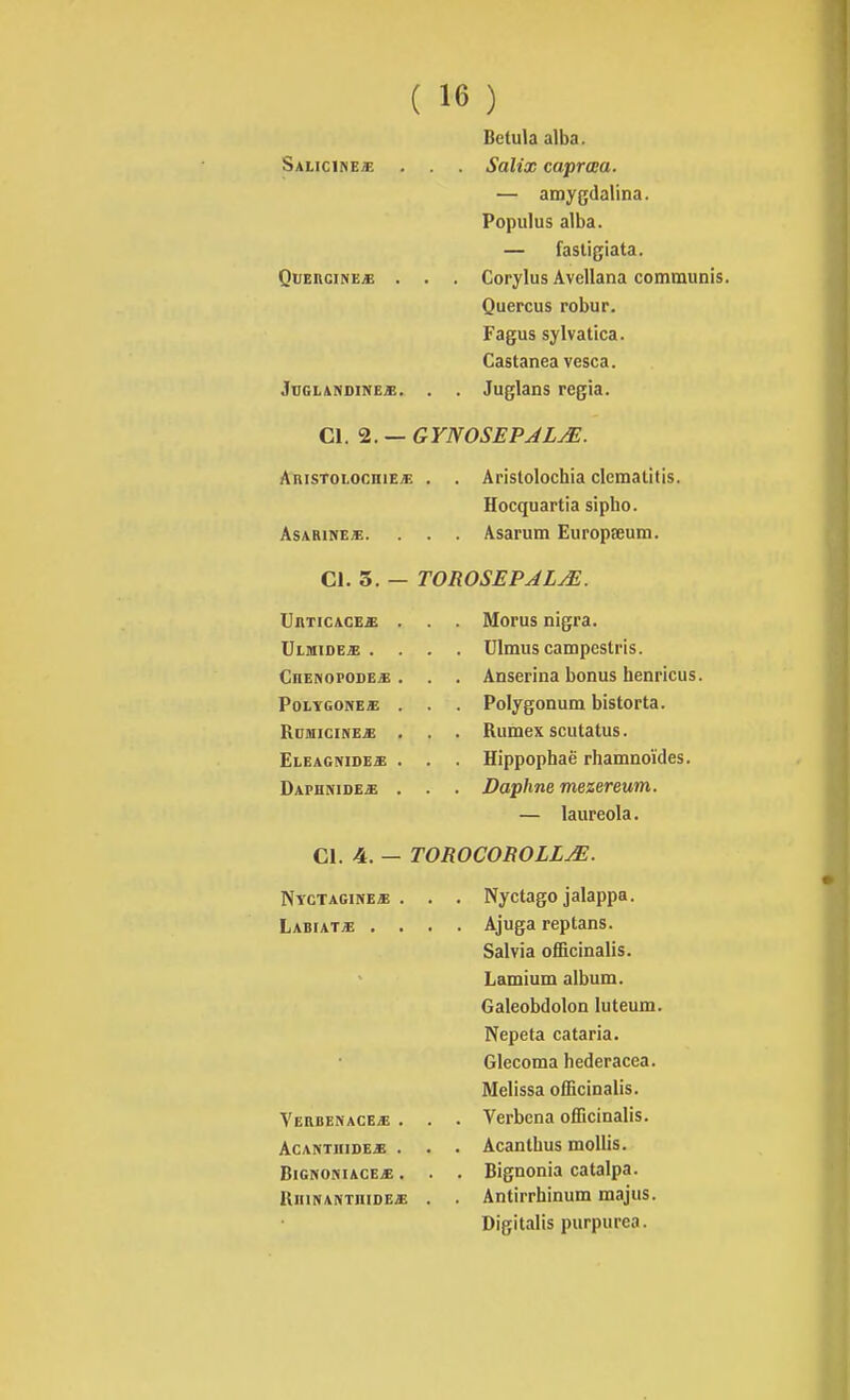 Betula alba. Saliciheje . . Salix caprœa. — amygdalina. Populus alba. — fasligiata. QuEuciNEjj . . . Corylus Avellana communis. Quercus robur. Fagus sylvatica. Castanea vesca. JuGLANDiNE*. . . Juglans regia. Cl. 2. — GYNOSEPALjE. AnisTOLOcniEJ! . ASABINES. Aristolochia clcmalitis. Hocquartia sipho. Asarum Europseum. CI. 3. — TOROSEPALM. UnTIC&GEB . UtffllDE* . CnENOPODE* . Polygone* . Rdmicine* . Eleagnide* . Daphnide* . Morus nigra. Ulmus campcstris. Anserina bonus henricus. Polygonum bistorta. Rumex scutatus. Hippophaë rhamnoïdes. Daphne mezereum. — laureola. Cl. 4. — TOROCOBOLLjE. Nyctagineb LABrAT^ . VerbenacejE . acantiiide* . BiGNONIACEjE . RlIlNANTniDEiB Nyctago jalappa. Ajuga reptans. Salvia officinalis. Lamium album. Galeobdolon luteum. Nepeta cataria. Glecoma hederacea. Melissa officinalis. Verbcna officinalis. Acantbus mollis. Bignonia catalpa. Antirrhinum majus. Digitalis purpurea.