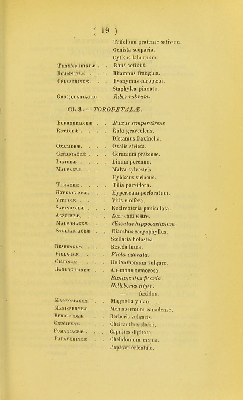 Tril'olinm pratense sativura. Genista scoparia. Cytisiis laburnuni. TÉRÉéiNtniNe* . . Rhus colintis. linAnlNlûÉ* . . . Rhamnus frangula. CEtAStftlSii*. . . Evonymus europœus. Staphylea pinnata. GnossuLARiACEiE. . Ribes Tubrum. CI. 8. — TOROPETAL^. JuUPIIOaBIACE^ . RuXUS SBîtipBWiTBtlS, nUTAGE^ . jlutâ graVéôlens. Dictamus fraxiDella. . ucrciniuui prciicnse. T.IIV inR Jft T iniim npppvirto . IjlUUlll ULlClllit?. Malvaceje IVTalva *îvlvpsfri<î IljDISCuS SiriaCllS. TlLIAP/K /F JL .1 J /l 1_f o /X* • * • ± ma ytxi VIlIUl cx< HyPERICINE^. TfvnpriPiiim i\AT*rnpifuni (11 llJCiJti . • , Vitis viniferSt o A 1 1 il u il u El iTt t t Kocireuteria poiniculâtci. A rrn f îfr'fr 11j fj 11 1 il Cl JKi , , t ALcr cdnipesirc. AT A T.PTf^I kr.V. M! u2iatuiiUi iitppomsiuTiuiH, StKI.T. j^ft IA flR % uidiiiuus cdrjopnyuuSt Stellaria holostea. . Reseda lutea. Violacé*. . Fiola odorata. CiSTINE* . . . Helianthemum vulgare. Ramjncui.ine* . . Anémone nemof osa. Ranunculus ficaria. ffelieborus niger. — fœtidus. . Magnolia yulan. MENfSPERMEyE . Menispermiim canafl(îns«. BEnBEniDE/F. . . Bcrbei'is viilgaris. CnuciFEBAi . . Cheiranlhus chéiri. FUMAniACE* . . Capnites digitata. Papaverine* . Chelidonium majiis. Papâvêi' 6rferi«àle.