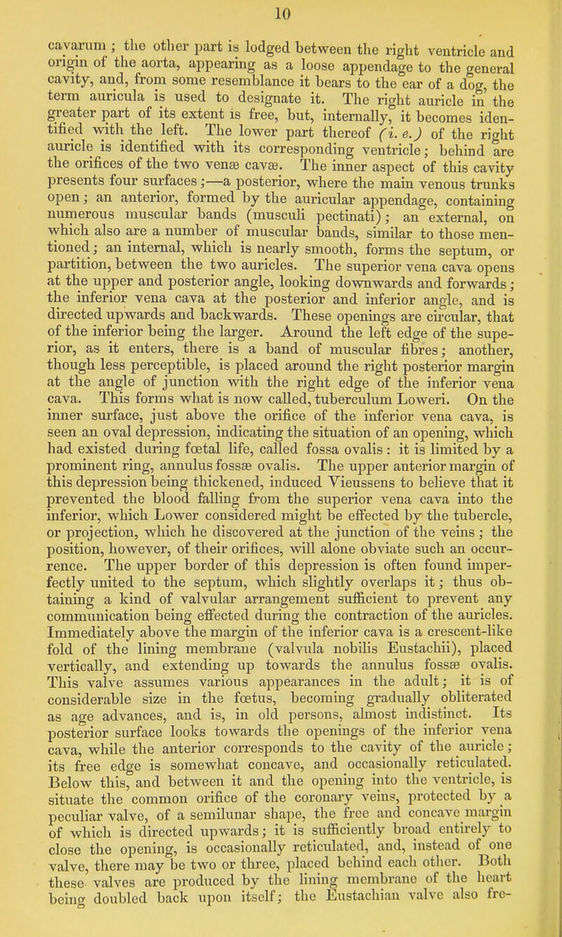 cayarum ; the other part is lodged between the right ventricle and origin of the aorta, appearing as a loose appendage to the general cavity, and, from some resemblance it bears to the ear of a dog, the term auricula is used to designate it. The right auricle in the greater part of its extent is free, but, internally, it becomes iden- tified v^ith the left. The lov^^er part thereof (i. e.J of the right auricle is identified with its corresponding ventricle; behind are the orifices of the two vente cavse. The inner aspect of this cavity presents four surfaces;—a posterior, where the main venous trunks open; an anterior, formed by the auricular appendage, containing numerous muscular bands (musculi pectinati); an external, on which also are a number of muscular bands, similar to those men- tioned; an internal, which is nearly smooth, forms the septum, or partition, between the two auricles. The superior vena cava opens at the upper and posterior angle, looking downwards and forwards; the inferior vena cava at the posterior and inferior angle, and is directed upwards and backwards. These openings are circular, that of the inferior being the larger. Around the left edge of the supe- rior, as it enters, there is a band of muscular fibres; another, though less perceptible, is placed around the right posterior margin at the angle of junction with the right edge of the inferior vena cava. This forms what is now called, tuberculum Loweri. On the inner surface, just above the orifice of the inferior vena cava, is seen an oval depression, indicating the situation of an opening, which had existed during foetal life, called fossa ovalis : it is limited by a prominent ring, annulus fossas ovalis. The upper anterior margin of this depression being thickened, induced Vieussens to believe that it prevented the blood falling from the superior vena cava into the inferior, which Lower considered might be effected by the tubercle, or projection, which he discovered at the junction of the veins ; the position, however, of their orifices, will alone obviate such an occur- rence. The upper border of this depression is often found imper- fectly united to the septum, which slightly overlaps it; thus ob- taining a kind of valvular arrangement sufl&cient to prevent any communication being effected during the contraction of the auricles. Immediately above the margin of the inferior cava is a crescent-like fold of the lining membrane (valvula nobilis Eustachii), placed vertically, and extending up towards the annulus fossae ovalis. This valve assumes various appearances in the adult; it is of considerable size in the foetus, becoming gradually obliterated as age advances, and is, in old persons, almost indistinct. Its posterior surface looks towards the openings of the inferior vena cava, while the anterior corresponds to the cavity of the auricle; its free edge is somewhat concave, and occasionally reticulated. Below this, and between it and the opening into the ventricle, is situate the common orifice of the coronary veins, protected by a peculiar valve, of a semilunar shape, the free and concave margin of which is directed upwards; it is sufficiently broad entirely to close the opening, is occasionally reticulated, and, instead of one valve, there may be two or three, placed behind each other. Both these valves are produced by the lining membrane of the heart being doubled back upon itself; the Eustachian valve also frc-