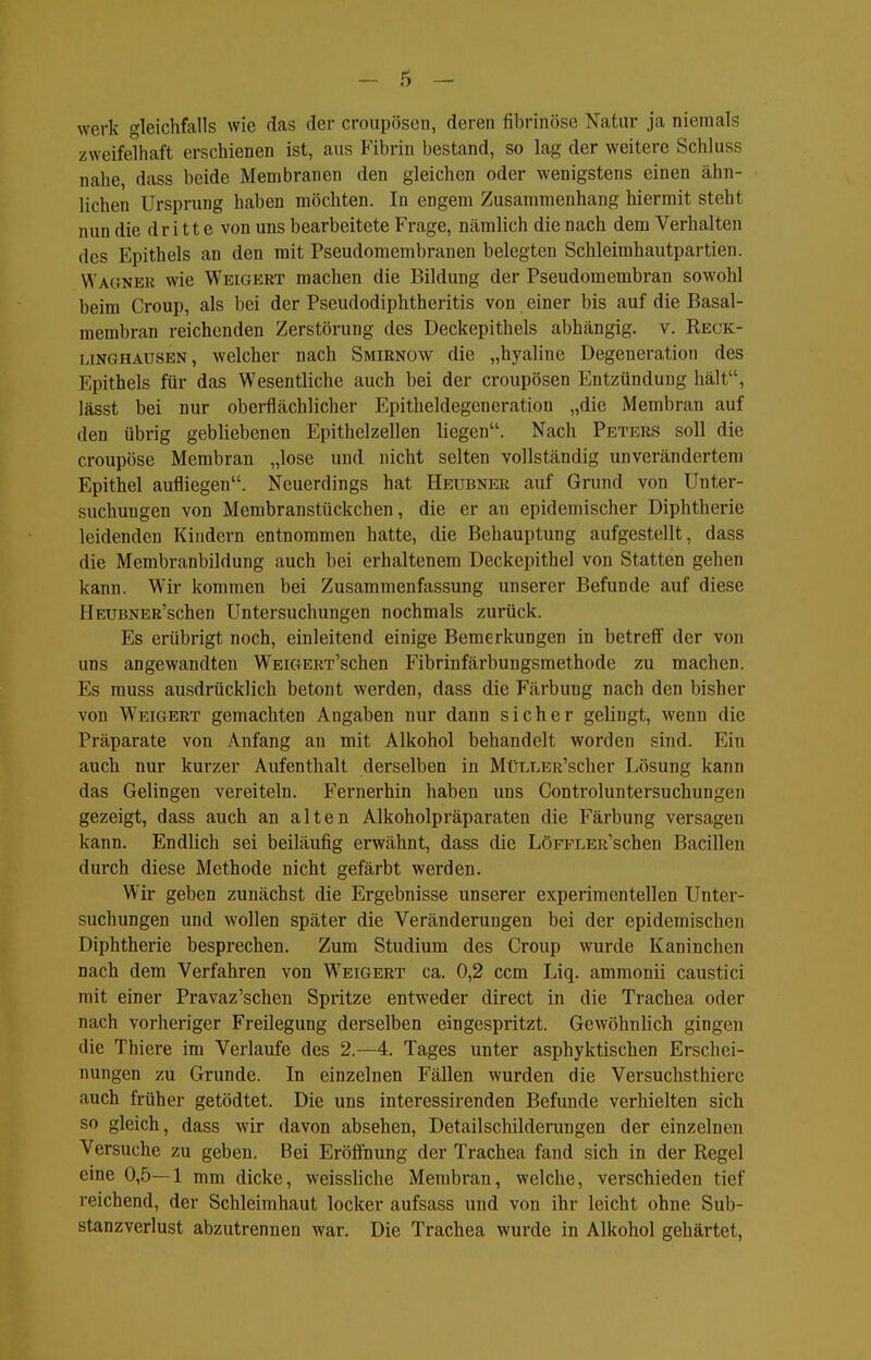werk gleichfalls wie das der croupöscn, deren fibrinöse Natur ja niemals zweifelhaft erschienen ist, aus Fibrin bestand, so lag der weitere Schluss nahe, dass beide Membranen den gleichen oder wenigstens einen ähn- lichen Ursprung haben möchten. In engem Zusammenhang hiermit steht nun die dritte von uns bearbeitete Frage, nämlich die nach dem Verhalten des Epithels an den mit Pseudomembranen belegten Schleimhautpartien. Wagneu wie Weigert machen die Bildung der Pseudomembran sowohl beim Croup, als bei der Pseudodiphtheritis von einer bis auf die Basal- membran reichenden Zerstörung des Deckepithels abhängig, v. Reck- unghausen, welcher nach Smirnow die „hyaline Degeneration des Epithels für das Wesentliche auch bei der croupösen Entzündung hält, lässt bei nur oberflächlicher Epitheldegeneration „die Membran auf den übrig gebliebenen Epithelzellen liegen. Nach Peters soll die croupöse Membran „lose und nicht selten vollständig unverändertem Epithel aufliegen. Neuerdings hat Heubner auf Grund von Unter- suchungen von Membranstückchen, die er an epidemischer Diphtherie leidenden Kindern entnommen hatte, die Behauptung aufgestellt, dass die Membranbildung auch bei erhaltenem Deckepithel von Statten gehen kann. Wir kommen bei Zusammenfassung unserer Befunde auf diese HEUBNER'schen Untersuchungen nochmals zurück. Es erübrigt noch, einleitend einige Bemerkungen in betreff der von uns angewandten WEiGERT'schen Fibrinfärbungsmethode zu machen. Es muss ausdrücklich betont werden, dass die Färbung nach den bisher von W^EiGERT gemachten Angaben nur dann sicher gelingt, wenn die Präparate von Anfang an mit Alkohol behandelt worden sind. Ein auch nur kurzer Aufenthalt derselben in MtJLLER'scher Lösung kann das Gelingen vereiteln. Fernerhin haben uns Controluntersuchungen gezeigt, dass auch an alten Alkoholpräparaten die Färbung versagen kann. Endlich sei beiläufig erwähnt, dass die LöFPLER'schen Bacillen durch diese Methode nicht gefärbt werden. Wir geben zunächst die Ergebnisse unserer experimentellen Unter- suchungen und wollen später die Veränderungen bei der epidemischen Diphtherie besprechen. Zum Studium des Croup wurde Kaninchen nach dem Verfahren von W'eigert ca. 0,2 ccm Liq. ammonii caustici mit einer Pravaz'schen Spritze entweder direct in die Trachea oder nach vorheriger Freilegung derselben eingespritzt. Gewöhnlich gingen die Thiere im Verlaufe des 2.-4. Tages unter asphyktischen Erschei- nungen zu Grunde. In einzelnen Fällen wurden die Versuchsthiere auch früher getödtet. Die uns interessirenden Befunde verhielten sich so gleich, dass wir davon absehen, Detailschilderungen der einzelnen Versuche zu geben. Bei Eröflhung der Trachea fand sich in der Regel eme 0,5—1 mm dicke, weissHche Membran, welche, verschieden tief reichend, der Schleimhaut locker aufsass und von ihr leicht ohne Sub- stanzverlust abzutrennen war. Die Trachea wurde in Alkohol gehärtet,