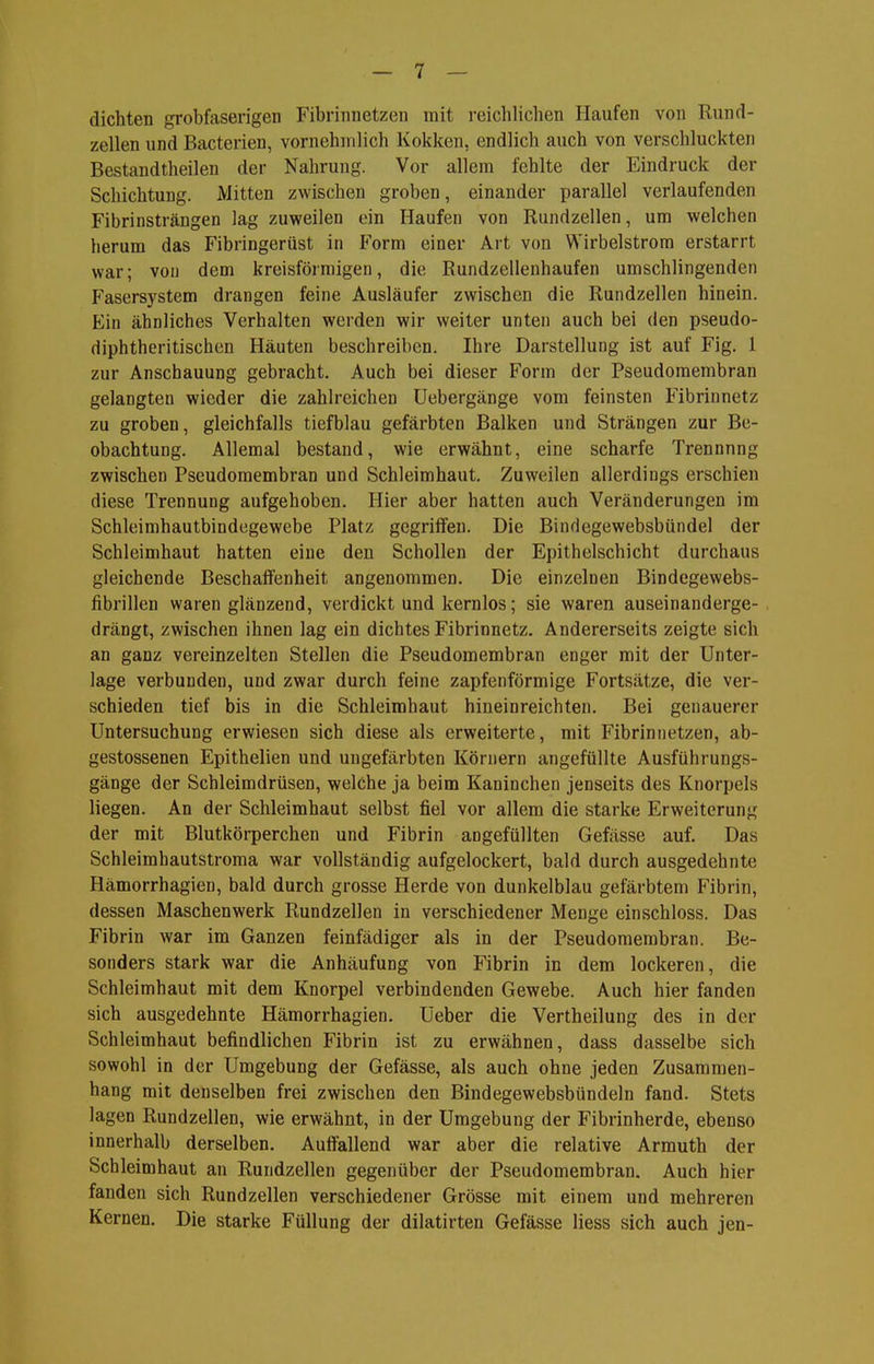 dichten grobfaserigen Fibrinnetzen mit reichlichen Haufen von Rund- zellen und Bacterien, vornehmlich Kokken, endlich auch von verschluckten Bestandtheilen der Nahrung. Vor allem fehlte der Eindruck der Schichtung. Mitten zwischen groben, einander parallel verlaufenden Fibrinsträngen lag zuweilen ein Haufen von Rundzellen, um welchen herum das Fibringerüst in P'orm einer Art von Wirbelstrom erstarrt war; von dem kreisförmigen, die Rundzellenhaufen umschlingenden Fasersystem drangen feine Ausläufer zwischen die Rundzellen hinein. Ein ähnliches Verhalten werden wir weiter unten auch bei den pseudo- diphtheritischen Häuten beschreiben. Ihre Darstellung ist auf Fig. 1 zur Anschauung gebracht. Auch bei dieser Form der Pseudomembran gelangten wieder die zahlreichen Uebergänge vom feinsten Fibrinnetz zu groben, gleichfalls tiefblau gefärbten Balken und Strängen zur Be- obachtung. Allemal bestand, wie erwähnt, eine scharfe Trennung zwischen Pseudomembran und Schleimhaut. Zuweilen allerdings erschien diese Trennung aufgehoben. Hier aber hatten auch Veränderungen im Schleimhautbindegewebe Platz gegrififen. Die Bindegewebsbündel der Schleimhaut hatten eine den Schollen der Epithelschicht durchaus gleichende Beschaffenheit angenommen. Die einzelnen Bindegewebs- fibrillen waren glänzend, verdickt und kernlos; sie waren auseinanderge- drängt, zwischen ihnen lag ein dichtes Fibrinnetz. Andererseits zeigte sich an ganz vereinzelten Stellen die Pseudomembran enger mit der Unter- lage verbunden, und zwar durch feine zapfenförmige Fortsätze, die ver- schieden tief bis in die Schleimhaut hineinreichten. Bei genauerer Untersuchung erwiesen sich diese als erweiterte, mit Fibrinnetzen, ab- gestossenen Epithelien und ungefärbten Körnern angefüllte Ausführungs- gänge der Schleimdrüsen, welche ja beim Kaninchen jenseits des Knorpels liegen. An der Schleimhaut selbst fiel vor allem die starke Erweiterung der mit Blutkörperchen und Fibrin angefüllten Gefässe auf. Das Schleimhautstroma war vollständig aufgelockert, bald durch ausgedehnte Hämorrhagien, bald durch grosse Herde von dunkelblau gefärbtem Fibrin, dessen Maschenwerk Rundzellen in verschiedener Menge einschloss. Das Fibrin war im Ganzen feinfädiger als in der Pseudomembran. Be- sonders stark war die Anhäufung von Fibrin in dem lockeren, die Schleimhaut mit dem Knorpel verbindenden Gewebe. Auch hier fanden sich ausgedehnte Hämorrhagien. Ueber die Vertheilung des in der Schleimhaut befindlichen Fibrin ist zu erwähnen, dass dasselbe sich sowohl in der Umgebung der Gefässe, als auch ohne jeden Zusammen- hang mit denselben frei zwischen den Bindegewebsbündeln fand. Stets lagen Rundzellen, wie erwähnt, in der Umgebung der Fibrinherde, ebenso innerhalb derselben. Auffallend war aber die relative Armuth der Schleimhaut an Rundzellen gegenüber der Pseudomembran. Auch hier fanden sich Rundzellen verschiedener Grösse mit einem und mehreren Kernen. Die starke Füllung der dilatirten Gefässe Hess sich auch jen-