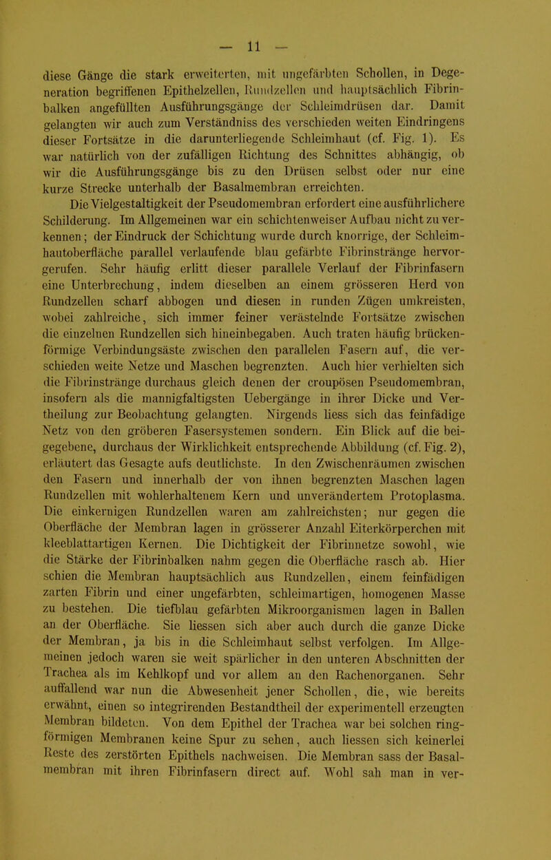 diese Gänge die stark erweiterten, mit ungefärbten Schollen, in Dege- neration begriffenen Epithelzellen, Riindzellon und liauptsächlich Fibrin- balken angefüllten Ausführungsgänge der Schleimdrüsen dar. Damit gelangten wir auch zum Verständniss des verschieden weiten Eindringens dieser Fortsätze in die darunterliegende Schleimhaut (cf. Fig. 1). Es war natürlich von der zufälligen Richtung des Schnittes abhängig, ob wir die Ausführungsgänge bis zu den Drüsen selbst oder nur eine kurze Strecke unterhalb der Basalmembran erreichten. Die Vielgestaltigkeit der Pseudomembran erfordert eine ausführlichere Schilderung. Im Allgemeinen war ein schichtenweiser AuflDau nicht zu ver- kennen ; der Eindruck der Schichtung wurde durch knorrige, der Schleim- hautoberfläche parallel verlaufende blau gefärbte Fibrinstränge hervor- gerufen. Sehr häufig erlitt dieser parallele Verlauf der Fibrinfasern eine Unterbrechung, indem dieselben an einem grösseren Herd von Rundzellen scharf abbogen und diesen in runden Zügen umkreisten, wobei zahlreiche, sich immer feiner verästelnde Fortsätze zwischen die einzelnen Rundzellen sich hineinbegaben. Auch traten häufig brücken- förmige Verbiudungsäste zwischen den parallelen Fasern auf, die ver- schieden weite Netze und Maschen begrenzten. Auch hier verhielten sich die Fibrinstränge durchaus gleich denen der croupösen Pseudomembran, insofern als die mannigfaltigsten Uebergänge in ihrer Dicke und Ver- theilung zur Beobachtung gelangten. Nirgends liess sich das feinfädige Netz von den gröberen Fasersystemen sondern. Ein Blick auf die bei- gegebene, durchaus der Wirklichkeit entsprechende Abbildung (cf. Fig. 2), erläutert das Gesagte aufs deutlichste. In den Zwischenräumen zwischen den Fasern und innerhalb der von ihnen begrenzten Maschen lagen Rundzellen mit wohlerhaltenem Kern und unverändertem Protoplasma. Die einkernigen Rundzellen waren am zahlreichsten; nur gegen die Oberfläche der Membran lagen in grösserer Anzahl Eiterkörperchen mit kleeblattartigen Kernen. Die Dichtigkeit der Fibrinnetze sowohl, wie die Stärke der Fibrinbalken nahm gegen die Oberfläche rasch ab. Hier schien die Membran hauptsächlich aus Rundzellen, einem feinfädigen zarten Fibrin und einer ungefärbten, schleimartigen, homogenen Masse zu bestehen. Die tiefblau gefärbten Mikroorganismen lagen in Ballen an der Oberfläche. Sie Hessen sich aber auch durch die ganze Dicke der Membran, ja bis in die Schleimhaut selbst verfolgen. Im Allge- meinen jedoch waren sie weit spärlicher in den unteren Abschnitten der Trachea als im Kehlkopf und vor allem an den Rachenorganen. Sehr auffallend war nun die Abwesenheit jener Schollen, die, wie bereits erwähnt, einen so integrirenden Bestandtheil der experimentell erzeugten Membran bildeten. Von dem Epithel der Trachea war bei solchen ring- förmigen Membranen keine Spur zu sehen, auch Hessen sich keinerlei Reste des zerstörten Epithels nachweisen. Die Membran sass der Basal- membran mit ihren Fibrinfasern direct auf. Wohl sah man in ver-