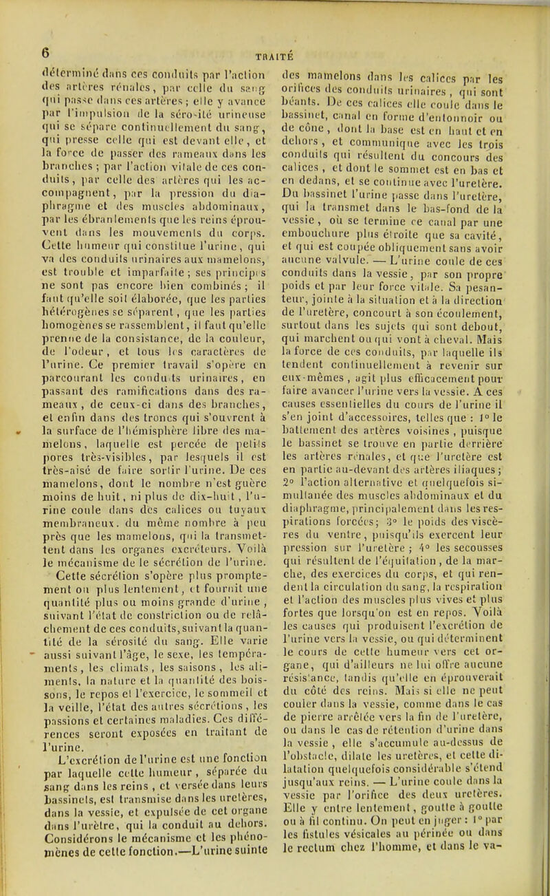 «liMcrminé dans ces coiiiluils pnr l'aclion des iirlires rénales, par celle du anf.r^ qui passe dans ces artères ; elle y avance par l'impulsion de la séro-ité urineuse qui se sépare continmllcmenl du san^', qui presse celle qui est devant elle, et la fo'-ce de passer des rameaux dwns les brandies ; par l'aclion vilalc de ces con- duits, jiar celle des artères qui les ac- compagnent, par la liression du dia- phragme et des muscles alidouiinaux, par les ébranlenienis que les reins éprou- vent dans les niouvemenls du corps. Celle humeur qui conslilue l'urine, qui va des conduits urinairesaux mamelons, est trouble et imparfaile; ses priucipis ne sont pas encore bien combinés ; il faut ([u'elle soil élaborée, que les parties hétérogènes se séparent, que les parties homogènes se rassemblent, il faut qu'elle prenne de lu consistance, de la couleur, de l'odeur, et tous h s caractères de l'urine. Ce premier travail s'opère en parcourant les conduits urinawes, en passant des ramifications dans des ra- meaux , de ceux-ci dans des branches, et enfin dans des troncs qui s'ouvrent à la surface de l'Iiéinisphère libre des ma- melons, laquelle est percée de pelils pores très-visibles, par lesquels il est ires-aisé de faire sortir l'urine. De ces mamelons, dont le nombre n'est guère moins de huit, ni plus de dix-liuit, l'u- rine coule dans des calices ou tuyaux membraneux, du même nombre à peu près que les mamelons, qui la transmet- tent dans les organes excréteurs. Voilà le mécanisme de le sécrétion de l'urine. Cette sécrétion s'opère plus prompte- ment ou plus lentement, et fournit une quantité plus ou moins grande d'urine , suivant l'élat de constriclion ou de relà- clienient de ces conduits,suivantla quan- tité de la sérosité du sang. Elle varie aussi suivant l'âge, le sexe, les lempcra- ments, les climats, les saisons , les ali- ments. In nature et la (pianlité des bois- sons, le repos et l'exercice, le sommeil et la veille, l'état des autres sécrétions , les passions et certaines maladies. Ces diffé- rences seront exposées en traitant de l'urine. L'excrétion de l'urine est une fonction par laquelle cette humeur, séparée du sanjï dans les reins , et versée dans leurs l)assinels, est transmise dans les uretères, dans la vessie, et expulsée de cet organe dans l'urètre, qui la conduit nu dehors. Considérons le mécanisme et les phéno- mènes de celle fonction,—L'urine suinte des mamelons dans les calices par les orifices des conduits urinaires , qui sont béants. De ces calices elle coule dans le bassinet, canal en forme d'entonnoir ou de cône , dont la base est en haut et en dehors, et communique avec les trois conduits qui résultent du concours des calices, et dont le sommet est en bas et en dedans, et se continue avec l'uretère. Du bassinet l'urine passe dans l'uretère, qui la transmet dans le bas-fond de la vessie, oii se termine ce canal par une embouchure plus étroite que sa cavité, et qui est coupée obliquement sans avoir aucune valvule. — L'urine coule de ces conduits dans la vessie, par son propre poids et par leur force vibile. Sa pesan- teur, jointe à la situation et à la direction de l'uretère, concourt à son écoulement, surtout dans les sujets qui sont debout, qui marchent ou qui vont à cheval. Mais la force de ces conduits, p.ir laquelle ils tentlent continuellement à revenir sur eux-mêmes, agit plus efficacement pour faire avancer l'urine vers lu vessie. A ces causes essentielles du cours de l'urine il s'en joint d'accessoires, telles que : l^le battement des artères voisines , puisque le bassinet se trouve eu partie d<'rrière les artères rniales, et que l'uretère est en partie au-devant des artères iliaques ; 2 l'action alternative et quelquefois si- multanée des muscles abdominaux et du diaphragme, iirinci|)a!ement dans les res- pirations forcées; 3° le poids des viscè- res du ventre, puisqu'ils exercent leur pression sur l'uretère ; A° les secousses qui résultent de réijuitalion , de la mar- che, des exercices du corjts, et qui ren- dent la circulfition ilu sang-, la respiration et l'aclion des muscles plus vives et plus fortes que lorsqu'on est en repos. Voilà les causes qui produisent l'excrélion de l'urine vers la vessie, ou qui déterminent le cours de cette humeur vers cet or- gane, qui d'ailleurs ne lui olïre aucune résis'ance, tanilis (ju'elle en éprouverait du côté des reins. Maii si elle ne peut couler dans la vessie, comme dans le cas de pierre arrêtée vers la fin de l'urelèrc, ou dans le cas de rétention d'urine dans la vessie , elle s'accumule au-dessus de l'obstacle, dilale les uretères, et celte di- latation quelquefois considérable s'étend jusqu'aux reins. — L'urine coule dans la vessie par l'orifice des deux uretères. Elle y entre lentement, goutte à goutte ou !i lil continu. On peut en juger : 1° par les fistules vésicales au périnée ou dans le rectum chez l'homme, et dans le va-