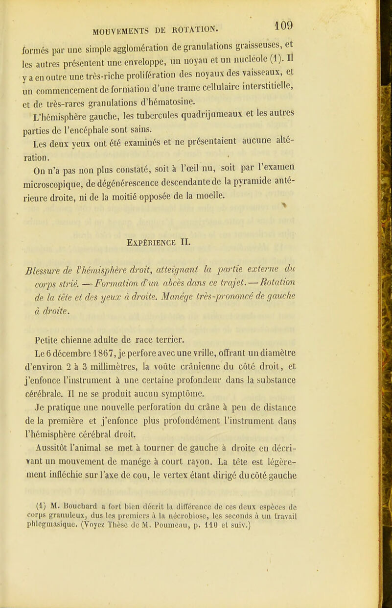 formés par une simple agglomération de granulations graisseuses, et les autres présentent une enveloppe, un noyau et un nucléole (1). Il y a en outre une très-riche prolifération des noyaux des vaisseaux, et un commencement de formation d'une trame cellulaire interstitielle, et de très-rares granulations d'hématosine. L'hémisphère gauche, les tubercules quadrijtimeaux et les autres parties de l'encéphale sont sains. Les deux yeux ont été examinés et ne présentaient aucune alté- ration. On n'a pas non plus constaté, soit à l'œil nu, soit par l'examen microscopique, de dégénérescence descendante de la pyramide anté- rieure droite, ni de la moitié opposée de la moelle. Expérience IL Blessure de l'hémisphère droit, atteignant la partie externe du corps strié. ~ Foi-mation d'un abcès dans ce trajet. — Rotation de la tête et des yeux à droite. Manège très-prononcé de gauche à droite. Petite chienne adulte de race terrier. Leôdécembre 1867, je perfore avec une vrille, olTrant undiamètre d'environ 2 à 3 millimètres, la voûte crânienne du côté droit, et j'enfonce l'instrument à une certaine profondeur dans la substance cérébrale. Il ne se produit aucun symptôme. Je pratique une nouvelle perforation du crâne à peu de distance de la première et j'enfonce plus profondément l'instrument dans l'hémisphère cérébral droit. Aussitôt l'animal se met à tourner de gauche à droite en décri- yant un mouvement de manège à court rayon. La tète est légère- ment infléchie sur l'axe de cou, le vertex étant dirigé du côté gauche (1) M. Uouchard a fort bien décrit la différence de ces deux espèces de corps gramileuX; dus les premiers à la nécrobiose, les seconds à un travail phlegmasiquc. (Voyez Thèse de M. Poumcau, p. 110 et suiv.)