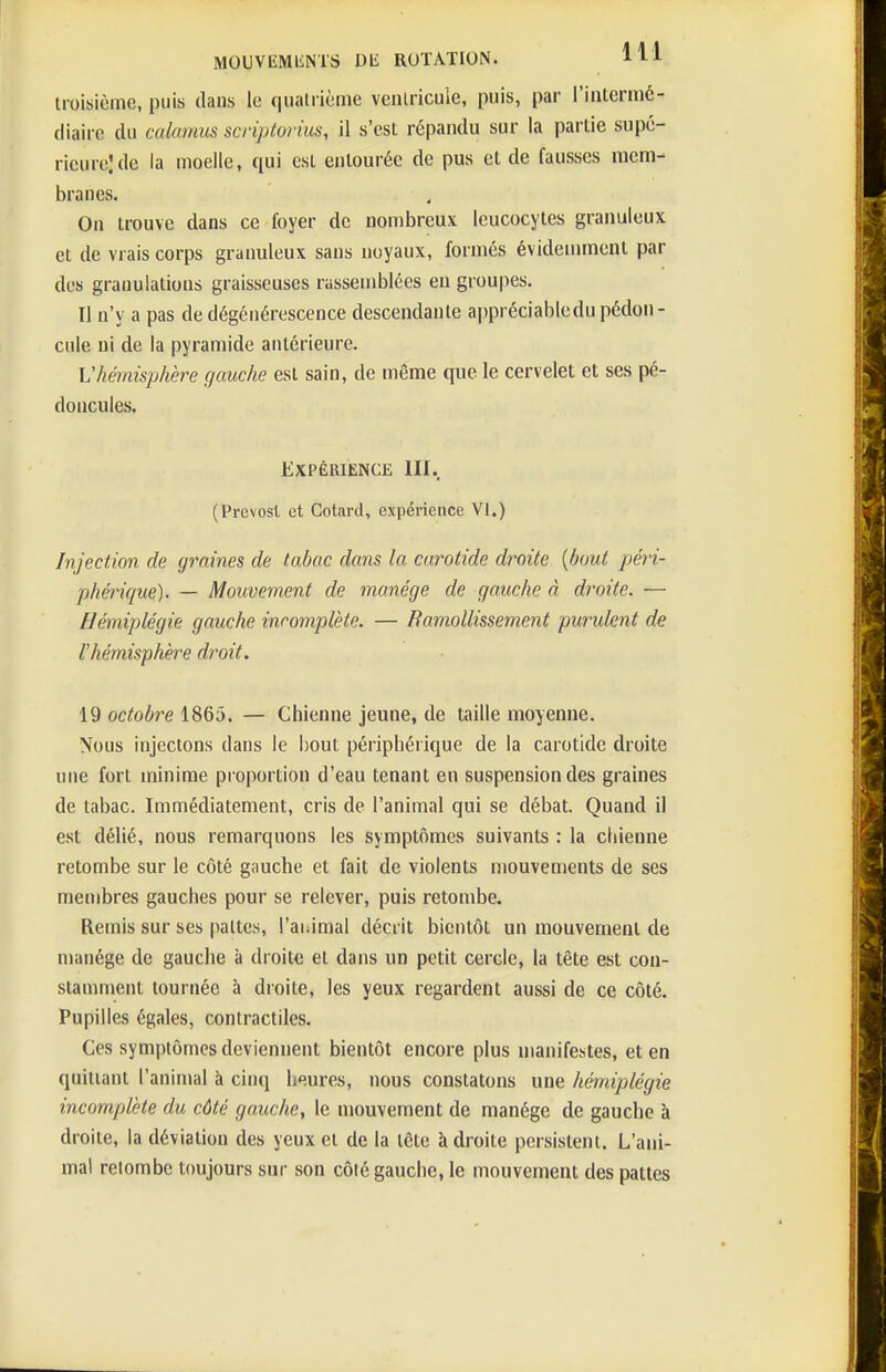 troisième, puis dans le quatrième venlricule, puis, par l'intermé- diaire du calamus scriptorius, il s'est répandu sur la partie supé- rieure; de la moelle, qui est entourée de pus et de fausses mem- branes. On trouve dans ce foyer de nombreux leucocytes granuleux et de vrais corps granuleux sans noyaux, formés évidemment par des granulations graisseuses rassemblées en groupes. Il n'y a pas de dégénérescence descendante appréciabledu pédon- cule ni de la pyramide antérieure. Vhénisphère gauche est sain, de même que le cervelet et ses pé- doncules. Expérience 111. (Prévost et Cotard, expérience VI.) Injection de graines de tabac dans la carotide droite {bout péri- phérique). — Mouvement de manège de gauche à droite. — Hàniplégie gauche incomplète. — Ramollissement purulent de l'hémisphère droit. 19 octobre 1865. — Chienne jeune, de taille moyenne. Nous injectons dans le bout périphérique de la carotide droite une fort minime proportion d'eau tenant en suspension des graines de tabac. Immédiatement, cris de l'animal qui se débat. Quand il est délié, nous remarquons les symptômes suivants : la ctiienne retombe sur le côté g;iuche et fait de violents mouvements de ses membres gauches pour se relever, puis retombe. Remis sur ses pattes, l'animal décrit bientôt un mouvement de manège de gauche à droite et dans un petit cercle, la tête est con- stamment tournée à droite, les yeux regardent aussi de ce côté. Pupilles égales, contractiles. Ces symptômes deviennent bientôt encore plus manifestes, et en quittant l'animal à cinq heures, nous constatons une hémiplégie incomplète du côté gauche, le mouvement de manège de gauche à droite, la déviation des yeux et de la tête à droite persistent. L'ani- mal retombe toujours sur son côié gauche, le mouvement des pattes