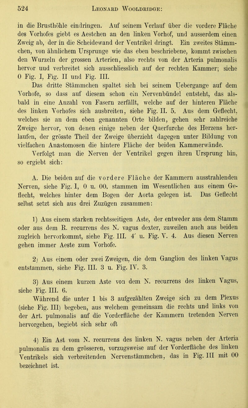 in die Brusthöhle eindringen. Auf seinem Verlauf über die vordere Fläche des Yorhofes giebt es Aestchen an den linken Yorhof, und ausserdem einen Zweig ab, der in die Scheidewand der Yentrikel dringt. Ein zweites Stämm- chen, von ähnlichem Ursprünge wie das eben beschriebene, kommt zwischen den Wurzeln der grossen Arterien, also rechts von der Arteria pulmonalis hervor und verbreitet sich ausschhesslich auf der rechten Kammer; siehe 0 Fig. I, Flg. II und Fig. III. Das dritte Stämmchen spaltet sich bei seinem IJebergange auf dem Yorhofe, so dass auf diesem schon ein Nervenbündel entsteht, das als- bald in eine Anzahl von Fasern zerfällt, welche auf der hinteren Fläche des linken Yorhofes sich ausbreiten, siehe Fig. IL 5* Aus dem Geflecht, welches sie an dem eben genannten Orte bilden, gehen sehr zahlreiche Zweige hervor, von denen einige neben der Querfurche des Herzens her- laufen, der grösste Theil der Zweige überzieht dagegen unter Bildung von vielfachen Anastomosen die hintere Fläche der beiden Kammerwände. Yerfolgt man die Nerven der Yentrikel gegen ihren Ursprung hin, so ergiebt sich: A. Die beiden auf die vordere Fläche der Kammern ausstrahlenden Nerven, siehe Fig. 1, 0 u. 00, stammen im Wesentlichen aus einem Ge- flecht, welches hinter dem Bogen der Aorta gelegen ist. Das Geflecht selbst setzt sich aus drei Zuzügen zusammen: 1) Aus einem starken rechtsseitigen Aste, der entweder aus dem Stamm oder aus dem R. recurrens des N. vagus dexter, zuweilen auch aus beiden zugleich hervorkommt, siehe Fig. IIL 4' u. Fig. Y. 4. Aus diesen Nerven gehen immer Aeste zum Yorhofe. 2j Aus einem oder zwei Zweigen, die dem Ganglion des linken Yagus entstammen, siehe Fig. III. 3 u. Fig. lY. 3. 3) Aus einem kurzen Aste von dem N. recurrens des linken Yagus, siehe Fig. ni. 6. Während die unter 1 bis 3 aufgezählten Zweige sich zu dem Plexus (siehe Fig. III) begeben, aus welchem gemeinsam die rechts und links von der Art. pulmonalis auf die Yorderfläche der Kammern tretenden Nerven hervorgehen, begiebt sich sehr oft 4) Ein Ast vom N. recurrens des linken N. vagus neben der Arteria pulmonahs zu dem grösseren, vorzugsweise auf der Yorderfläche des linken Yentrikels sich verbreitenden Nervenstämmchen, das in Fig. III mit 00 bezeichnet ist.