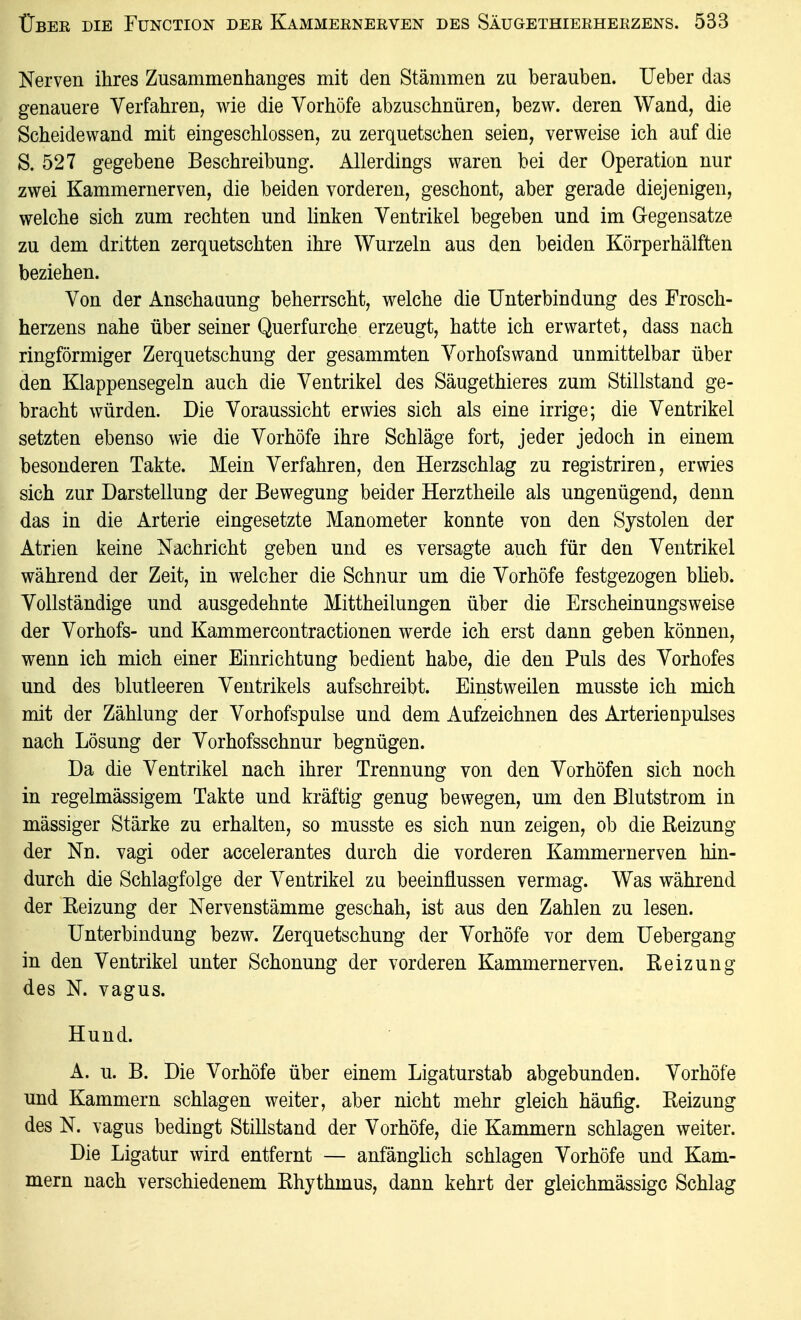 Nerven ihres Zusammenhanges mit den Stämmen zu berauben. lieber das genauere Verfahren, wie die Vorhöfe abzuschnüren, bezw. deren Wand, die Scheidewand mit eingeschlossen, zu zerquetschen seien, verweise ich auf die S. 527 gegebene Beschreibung. Allerdings waren bei der Operation nur zwei Kammernerven, die beiden vorderen, geschont, aber gerade diejenigen, welche sich zum rechten und linken Ventrikel begeben und im Gegensatze zu dem dritten zerquetschten ihre Wurzeln aus den beiden Körperhälften beziehen. Von der Anschauung beherrscht, welche die Unterbindung des Frosch- herzens nahe über seiner Querfarche erzeugt, hatte ich erwartet, dass nach ringförmiger Zerquetschung der gesammten Vorhofswand unmittelbar über den Klappensegeln auch die Ventrikel des Säugethieres zum Stillstand ge- bracht würden. Die Voraussicht erwies sich als eine irrige; die Ventrikel setzten ebenso wie die Vorhöfe ihre Schläge fort, jeder jedoch in einem besonderen Takte. Mein Verfahren, den Herzschlag zu registriren, erwies sich zur Darstellung der Bewegung beider Herztheile als ungenügend, denn das in die Arterie eingesetzte Manometer konnte von den Systolen der Atrien keine Nachricht geben und es versagte auch für den Ventrikel während der Zeit, in welcher die Schnur um die Vorhöfe festgezogen blieb. Vollständige und ausgedehnte Mittheilungen über die Erscheinungsweise der Vorhofs- und Kammercontractionen werde ich erst dann geben können, wenn ich mich einer Einrichtung bedient habe, die den Puls des Vorhofes und des blutleeren Ventrikels aufschreibt. Einstweilen musste ich mich mit der Zählung der Vorhofspulse und dem Aufzeichnen des Arterienpulses nach Lösung der Vorhofsschnur begnügen. Da die Ventrikel nach ihrer Trennung von den Vorhöfen sich noch in regelmässigem Takte und kräftig genug bewegen, um den Blutstrom in mässiger Stärke zu erhalten, so musste es sich nun zeigen, ob die Reizung der Nn. vagi oder accelerantes durch die vorderen Kammernerven hin- durch die Schlagfolge der Ventrikel zu beeinflussen vermag. Was während der Reizung der Nervenstämme geschah, ist aus den Zahlen zu lesen. Unterbindung bezw. Zerquetschung der Vorhöfe vor dem Uebergang in den Ventrikel unter Schonung der vorderen Kammernerven. Reizung des N. vagus. Hund. A. u. B. Die Vorhöfe über einem Ligaturstab abgebunden. Vorhöfe und Kammern schlagen weiter, aber nicht mehr gleich häufig. Reizung des N. vagus bedingt Stillstand der Vorhöfe, die Kammern schlagen weiter. Die Ligatur wird entfernt — anfänglich schlagen Vorhöfe und Kam- mern nach verschiedenem Rhythmus, dann kehrt der gleichmässigc Schlag