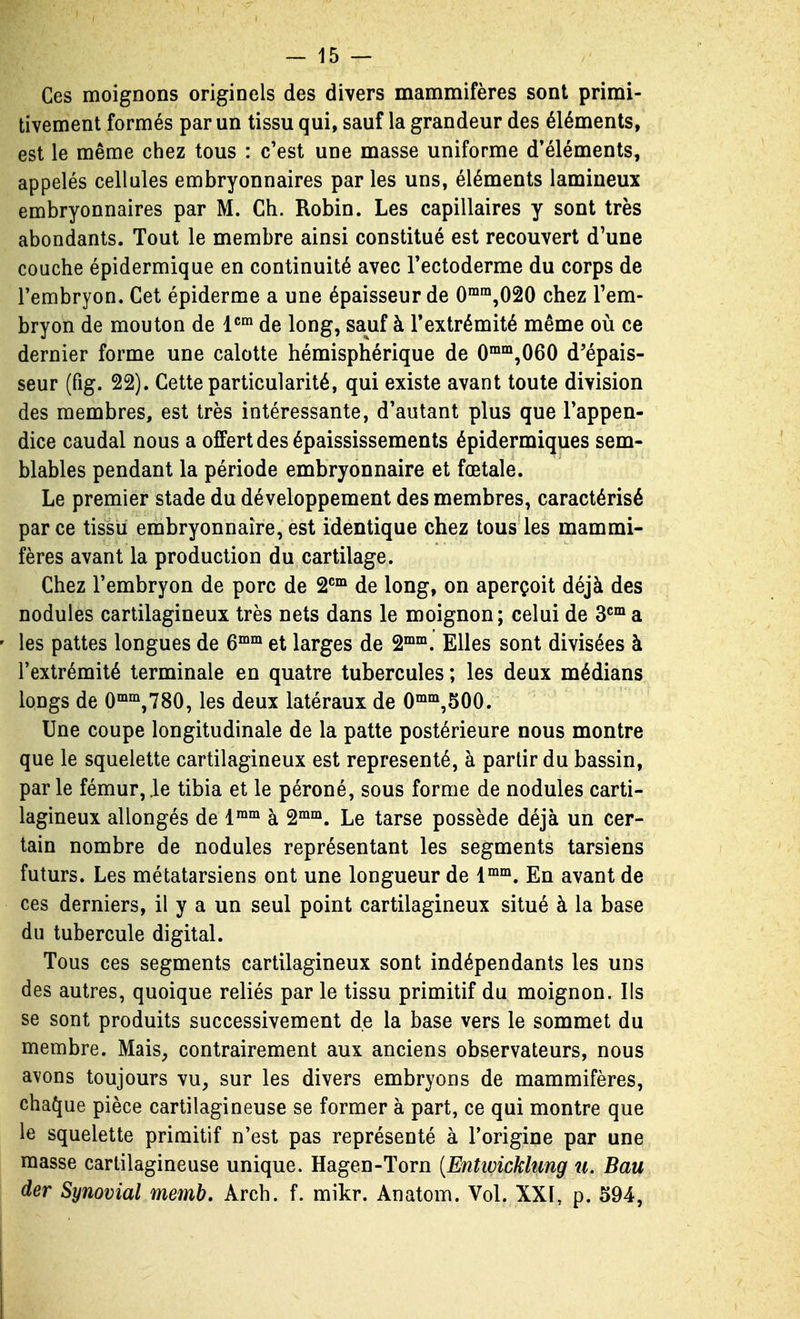 Ces moignons originels des divers mammifères sont primi- tivement formés par un tissu qui, sauf la grandeur des éléments, est le même chez tous : c'est une masse uniforme d'éléments, appelés cellules embryonnaires par les uns, éléments lamineux embryonnaires par M. Ch. Robin. Les capillaires y sont très abondants. Tout le membre ainsi constitué est recouvert d'une couche épidermique en continuité avec Tectoderme du corps de l'embryon. Cet épiderme a une épaisseur de O^^^O'^O chez l'em- bryon de mouton de l''^ de long, sauf à l'extrémité même où ce dernier forme une calotte hémisphérique de 0™°*,060 d'épais- seur (fig. 22). Cette particularité, qui existe avant toute division des membres, est très intéressante, d'autant plus que l'appen- dice caudal nous a offert des épaississements épidermiques sem- blables pendant la période embryonnaire et fœtale. Le premier stade du développement des membres, caractérisé parce tissu embryonnaire,est identique chez tous les mammi- fères avant la production du cartilage. Chez l'embryon de porc de 2^°^ de long, on aperçoit déjà des nodules cartilagineux très nets dans le moignon; celui de 3*'' a les pattes longues de 6™°^ et larges de 2™™. Elles sont divisées à l'extrémité terminale en quatre tubercules ; les deux médians longs de 0°^°^,780, les deux latéraux de 0°^'^,500. Une coupe longitudinale de la patte postérieure nous montre que le squelette cartilagineux est représenté, à partir du bassin, par le fémur, .le tibia et le péroné, sous forme de nodules carti- lagineux allongés de 1^°^ à 2°^°^. Le tarse possède déjà un cer- tain nombre de nodules représentant les segments tarsiens futurs. Les métatarsiens ont une longueur de i^^. En avant de ces derniers, il y a un seul point cartilagineux situé à la base du tubercule digital. Tous ces segments cartilagineux sont indépendants les uns des autres, quoique reliés par le tissu primitif du moignon. Ils se sont produits successivement de la base vers le sommet du membre. Mais, contrairement aux anciens observateurs, nous avons toujours vu, sur les divers embryons de mammifères, chaque pièce cartilagineuse se former à part, ce qui montre que le squelette primitif n'est pas représenté à l'origine par une masse cartilagineuse unique. Hagen-Torn [Entioickhmg ti. Bau der Synovial memb, Arch. f. mikr. Anatom. Vol. XXI, p. 594,