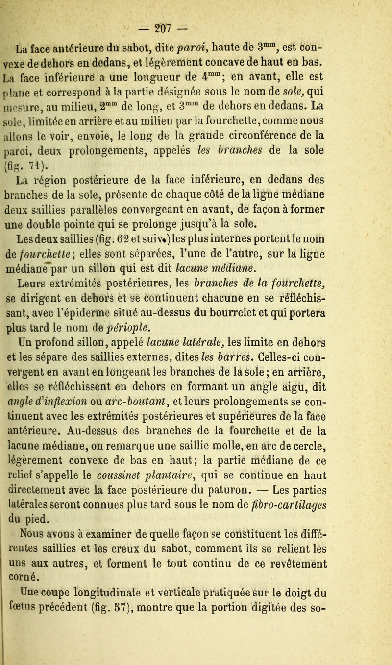 - - La face antérieure du sabot, dite paroi, haute de 3^™, est con- vexe de dehors en dedans, et légèrement concave de haut en bas. La face inférieure a une longueur de 4™™; en avant, elle est plane et correspond à la partie désignée sous le nom de sole, qui mesure, au milieu, 2°* de long, et 3™ de dehors en dedans. La sole, limitée en arrière et au milieu par la fourchette, comme nous allons le voir, envoie, le long de la grande circonférence de la paroi, deux prolongements, appelés les branches de la sole (flg. 71). La région postérieure de la face inférieure, en dedans des branches de la sole, présente de chaque côté de la ligne médiane deux saillies parallèles convergeant en avant, de façon à former une double pointe qui se prolonge jusqu'à la sole. Les deux saillies (fig. 62 et suiv*) les plus internes portent le nom de fourchette; elles sont séparées, l'une de l'autre, sur la ligne médiane'par un sillon qui est dit lacune médiane. Leurs extrémités postérieures, les branches de la fourchette, se dirigent en dehors et se continuent chacune en se réfléchis- sant, avec l'épiderme situé au-dessus du bourrelet et qui portera plus tard le nom de périople. Un profond sillon, appelé lacune latérale, les limite en dehors et les sépare des saillies externes, dites les barres. Celles-ci con- vergent en avant en longeant les branches de la sole; en arrière, elles se réfléchissent en dehors en formant un angle aigU, dit angle d'inflexion ou arc-boutant^ et leurs prolongements se con- tinuent avec les extrémités postérieures et supérieures de la face antérieure. Au-dessus des branches de la fourchette et de la lacune médiane, on remarque une saillie molle, en arc de cercle, légèrement convexe de bas en haut; la partie médiane de ce relief s'appelle le coussinet plantaire, qui se continue en haut directement avec la face postérieure du paturon. — Les parties latérales seront connues plus tard sous le nom de fibro-cartilages du pied. Nous avons à examiner de quelle façon se constituent les diffé- rentes saillies et les creux du sabot, comment ils se relient les uns aux autres, et forment le tout continu de ce revêtement corné. Une coupe longitudinale et verticale pratiquée sur le doigt du fœtus précédent (fig. 57), montre que la portion digitée des so-