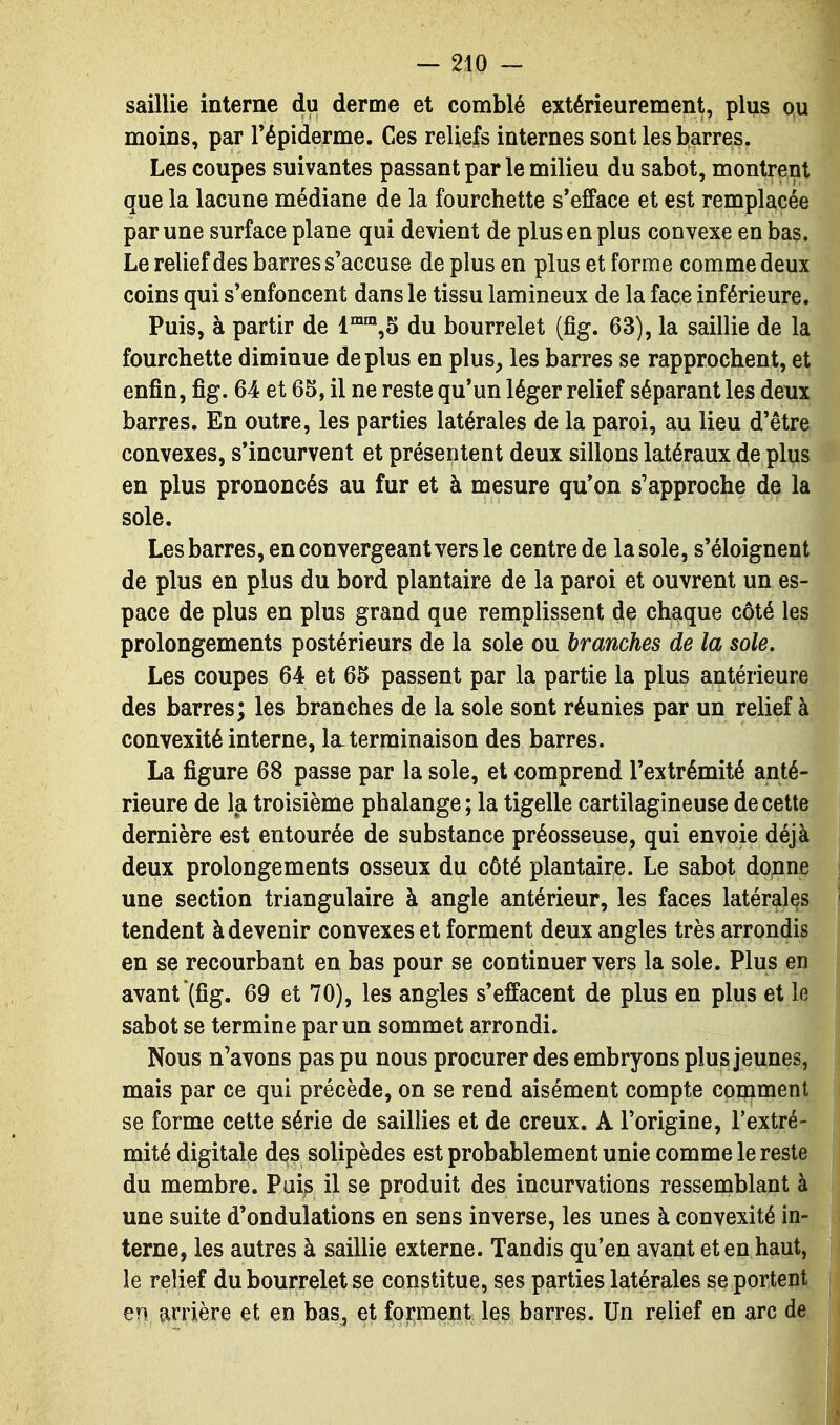 saillie interne du derme et comblé extérieurement, plus o\i moins, par Tépiderme. Ces reliefs internes sont les barres. Les coupes suivantes passant par le milieu du sabot, montrent que la lacune médiane de la fourchette s'efface et est remplacée par une surface plane qui devient de plus en plus convexe en bas. Le relief des barres s'accuse de plus en plus et forme comme deux coins qui s'enfoncent dans le tissu lamineux de la face inférieure. Puis, à partir de du bourrelet (fîg. 63), la saillie de la fourchette diminue déplus en plus, les barres se rapprochent, et enfin, fîg. 64 et 65, il ne reste qu'un léger relief séparant les deux barres. En outre, les parties latérales de la paroi, au lieu d'être convexes, s'incurvent et présentent deux sillons latéraux de pliis en plus prononcés au fur et à mesure qu'on s'approche de la sole. Les barres, en convergeant vers le centre de la sole, s'éloignent de plus en plus du bord plantaire de la paroi et ouvrent un es- pace de plus en plus grand que remplissent de chaque côté les prolongements postérieurs de la sole ou branches de la sole. Les coupes 64 et 65 passent par la partie la plus antérieure des barres; les branches de la sole sont réunies par un relief à convexité interne, la. terminaison des barres. La figure 68 passe par la sole, et comprend l'extrémité anté- rieure de la troisième phalange ; la tigelle cartilagineuse de cette dernière est entourée de substance préosseuse, qui envoie déjà deux prolongements osseux du côté plantaire. Le sabot donne une section triangulaire à angle antérieur, les faces latérales tendent à devenir convexes et forment deux angles très arrondis en se recourbant en bas pour se continuer vers la sole. Plus en avant (fig. 69 et 70), les angles s'effacent de plus en plus et le sabot se termine par un sommet arrondi. Nous n'avons pas pu nous procurer des embryons plus jeunes, mais par ce qui précède, on se rend aisément compte conament se forme cette série de saillies et de creux. A l'origine, l'extré- mité digitale dçs solipèdes est probablement unie comme le reste du membre. Pais il se produit des incurvations ressemblant à une suite d'ondulations en sens inverse, les unes à convexité in- terne, les autres à saillie externe. Tandis qu'en avant et en haut, le relief du bourrelet se constitue, ses parties latérales se portent en arrière et en bas, et forment les barres. Un relief en arc de