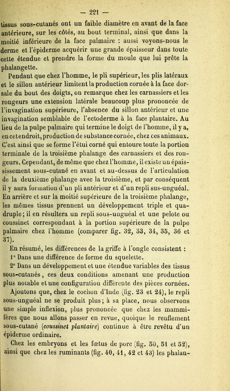 tissus sous-culanés ont un faible diamètre en avant de la face antérieure, sur les côtés, au bout terminal, ainsi que dans la moitié inférieure de la face palmaire : aussi voyons-nous le derme et l'épiderme acquérir une grande épaisseur dans toute cette étendue et prendre la forme du moule que lui prête la phalangette. Pendant que chez Thomme, le pli supérieur, les plis latéraux et le sillon antérieur limitent la production cornée à la face dor- sale du bout des doigts, on remarque chez les carnassiers et les rongeurs une extension latérale beaucoup plus prononcée de rinvagination supérieure, l'absence du sillon antérieur et une invagination semblable de l'ectoderme à la face plantaire. Au lieu de la pulpe palmaire qui termine le doigt de l'homme, il y a, en cetendroit, production de substance cornée, chez ces animaux. C'est ainsi que se forme l'étui corné qui entoure toute la portion terminale de la troisième phalange des carnassiers et des ron- geurs. Cependant, de même que chez l'homme^ il existe un épais- sissement sous-cutané en avant et au-dessus de l'articulation de la deuxième phalange avec la troisième, et par conséquent il y aura formation d'un pli antérieur et d'un repli sus-unguéal. En arrière et sur la moitié supérieure de la troisième phalange, les mêmes tissus prennent un développement triple et qua- druple; il en résultera un repli sous-uuguéal et une pelote ou coussinet correspondant à la portion supérieure de la pulpe palmaire chez l'homme (comparer %. 32^ 33, 34, 35, 36 et 37). En résumé, les différences de la griffe à l'ongle consistent : 1° Dans une différence de forme du squelette. 2° Dans un développement et une étendue variables des tissus sous-cutanés, ces deux conditions amenant une production plus notable et une configuration différente des pièces cornées. Ajoutons que, chez le cochon d'Inde (fig. 23 et 24), le repli sous-unguéal ne se produit plus; à sa place, nous observons une simple inflexion, plus prononcée que chez les mammi- fères que nous allons passer en revue, quoique le renflement sous-cutané [coussinet plantaire) continue à être revêtu d'un épiderme ordinaire. Chez les embryons et les fœtus de porc (fig. 50, 51 et 52), ainsi que chez les ruminants (fig. 40, 41, 42 et 43) les phalan-