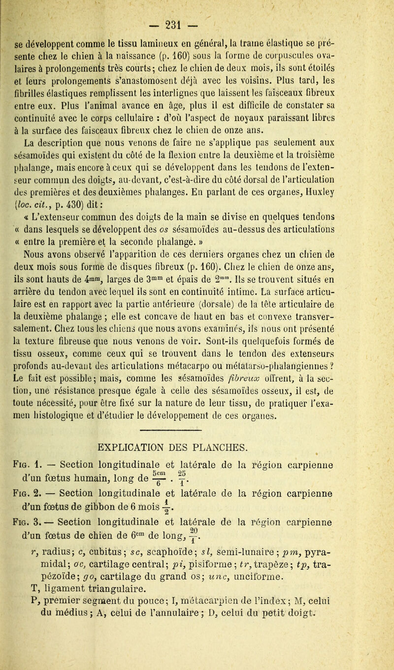 se développent comme le tissu lamiiieux en général, la trame élastique se pré- sente chez le chien à la naissance (p. 160) sous la rorme de corpuscules ova- laires à prolongements très courts; chez le chien de deux mois, ils sont étoiles et leurs prolongements s'anastomosent déjà avec les voisins. Plus tard, les fibrilles élastiques remplissent les interlignes que laissent les faisceaux fibreux entre eux. Plus l'animal avance en âge, plus il est difficile de constater sa continuité avec le corps cellulaire : d'oi^i l'aspect de noyaux paraissant libres à la surface des faisceaux fibreux chez le chien de onze ans. La description que nous venons de faire ne s'applique pas seulement aux sésamoïdes qui existent du côté de la flexion entre la deuxième et la troisième phalange, mais encore à ceux qui se développent dans les tendons de l'exten- i^eur commun des doigts, au-devant, c'est-à-dire du côté dorsal de l'articulation des premières et des deuxièmes phalanges. En parlant de ces organes,, Huxley [loc. cit., p. 430) dit: < L'extenseur commun des doigts de la main se divise en quelques tendons (( dans lesquels se développent des 05 sésamoïdes au-dessus des articulations « entre la première et la seconde phalange. » Nous avons observé l'apparition de ces derniers organes chez un chien de deux mois sous forme de disques fibreux (p. 160). Chez le chien de onze ans, ils sont hauts de ^mm^ larges de 3°^™ et épais de 2. Ils se trouvent situés en arrière du tendon avec lequel ils sont en continuité intime. La surface articu- laire est en rapport avec la partie antérieure (dorsale) de la têle articulaire de la deuxième phalange ; elle est concave de haut en bas et convexe transver- salement. Chez tous les chiens que nous avons examinés, ils nous ont présenté la texture fibreuse que nous venons de voir. Sont-ils quelquefois formés de tissu osseux, comme ceux qui se trouvent dans le tendon des extenseurs profonds au-devaut des articulations métacarpe ou mélatarso-phalangiennes ? Le fait est possible ; mais, comme les sésamoïdes fibreux olîrent, à la sec- tion, une résistance presque égale à celle des sésamoïdes osseux, il est, de toute nécessité, pour être fixé sur la nature de leur tissu, de pratiquer l'exa- men histologique et d'étudier le développement de ces organes. EXPLICATION DES PLANCHES. FiG. 1. — Section longitudinale et latérale jde la région carpienne d'un fœtus humain, long de ^ . j. FiG. 2. — Section longitudinale et latérale de la région carpienne d'un fœtus de gibbon de 6 mois FiG. 3. — Section longitudinale et latérale de la région carpienne d'un fœtus de chien de 6^^ de long, y. r, radius; c, cubitus; se, scaphoïde; si, semi-lunaire ; p972, pyra- midal; oc, cartilage central; pi, pisiforme ; tr, trapèze ; tp, tra- pézoïde; go, cartilage du grand os; une, unciforme. T, ligament triangulaire. P, premier segment du pouce; l, métacarpien de l'index; M, celui du médius; A, celui de l'annulaire; D, celui du petit doigt.