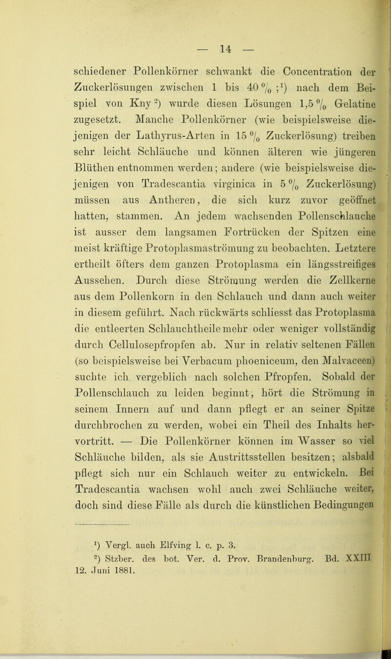 schiedener Pollenkörner schwankt die Concentration der Zuckerlösungen zwischen 1 bis 40%;^) nach dem Bei- spiel von Kny ^) wurde diesen Lösungen 1,5 7o Grelatine zugesetzt. Manche Pollenkörner (wie beispielsweise die- jenigen der Lathyrus-Arten in 15 7o Zuckerlösung) treiben sehr leicht Schläuche und können älteren wie jüngeren Blüthen entnommen werden; andere (wie beispielsweise die- jenigen von Tradescantia virginica in 5 % Zuckerlösung) müssen aus Antheren, die sich kurz zuvor geöffnet hatten, stammen. An jedem wachsenden Pollenschlauche ist ausser dem langsamen Fortrücken der Spitzen eine meist kräftige Protoplasmaströmung zu beobachten. Letztere ertheilt öfters dem ganzen Protoplasma ein längsstreifiges Aussehen. Durch diese Strömung werden die Zellkerne aus dem Pollenkorn in den Schlauch und dann auch weiter in diesem geführt. Nach rückwärts schliesst das Protoplasma die entleerten Schlauchtheile mehr oder weniger vollständig durch Cellulosepfropfen ab. Nur in relativ seltenen Fällen (so beispielsweise bei Verbacum phoeniceum, den Malvaceen) suchte ich vergeblich nach solchen Pfropfen. Sobald der Pollenschlauch zu leiden beginnt, hört die Strömung in seinem Innern auf und dann pflegt er an seiner Spitze durchbrochen zu werden, wobei ein Theil des Inhalts her- vortritt. — Die Pollenkörner können im Wasser so viel Schläuche bilden, als sie Austrittsstellen besitzen; alsbald pflegt sich nur ein Schlauch weiter zu entwickeln. Bei Tradescantia wachsen wohl auch zwei Schläuche weiter, doch sind diese Fälle als durch die künstlichen Bedingungen ^) Yergl. auch Elfving 1. c. p. 3. ^) Stzber. des bot. Ver. d. Prov. Brandenburg. Bd. XXIII 12. Juni 1881.