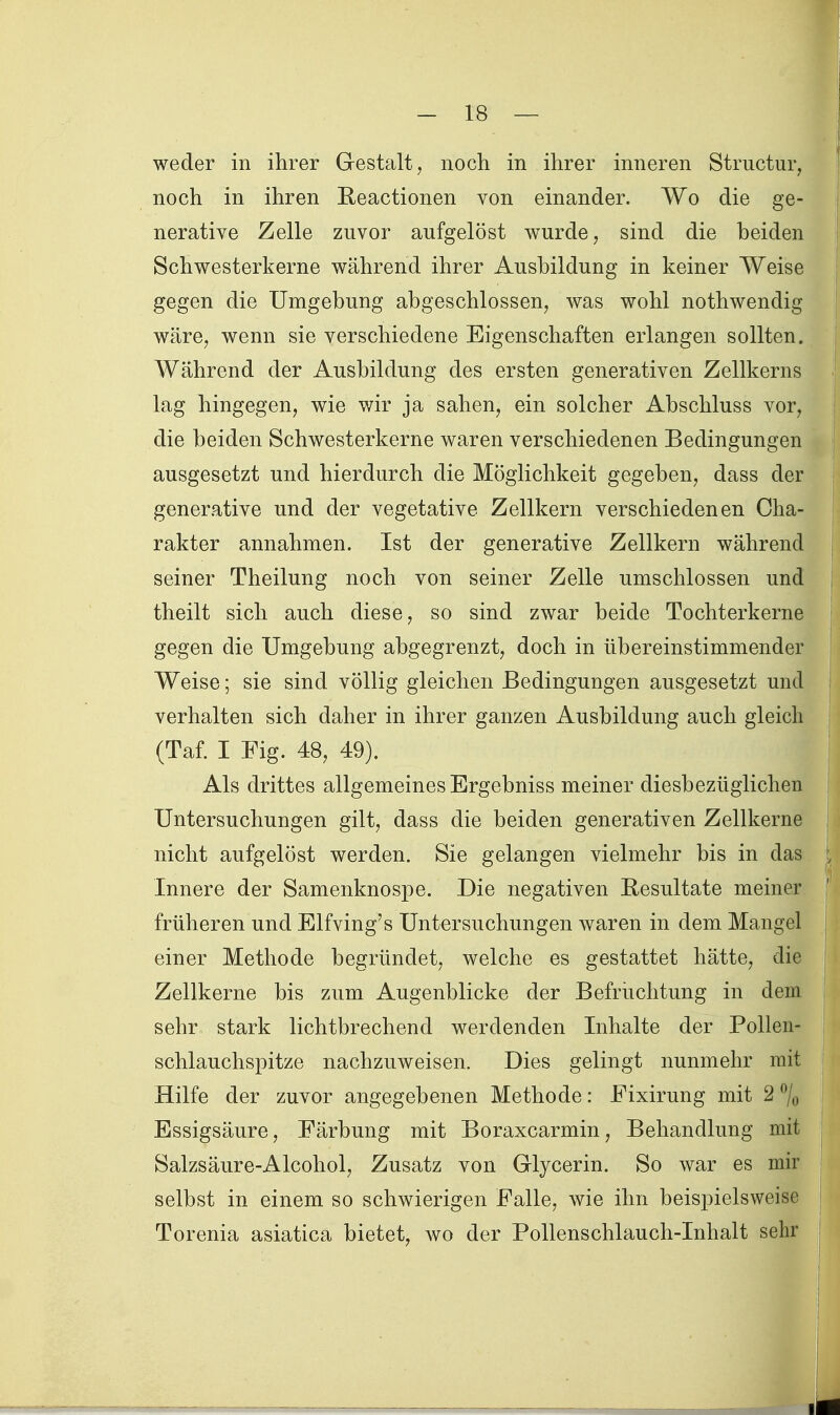 weder in ihrer Gestalt, nocli in ihrer inneren Structur, noch in ihren Reactionen von einander. Wo die ge- nerative Zelle zuvor aufgelöst wurde, sind die beiden Schwesterkerne während ihrer Ausbildung in keiner Weise gegen die Umgebung abgeschlossen, was wohl nothwendig wäre, wenn sie verschiedene Eigenschaften erlangen sollten. Während der Ausbildung des ersten generativen Zellkerns lag hingegen, wie wir ja sahen, ein solcher Abschluss vor, die beiden Schwesterkerne waren verschiedenen Bedingungen ausgesetzt und hierdurch die Möglichkeit gegeben, dass der generative und der vegetative Zellkern verschiedenen Cha- rakter annahmen. Ist der generative Zellkern während seiner Theilung noch von seiner Zelle umschlossen und theilt sich auch diese, so sind zwar beide Tochterkerne gegen die Umgebung abgegrenzt, doch in übereinstimmender Weise; sie sind völlig gleichen Bedingungen ausgesetzt und verhalten sich daher in ihrer ganzen Ausbildung auch gleich (Taf. I Fig. 48, 49). Als drittes allgemeines Ergebniss meiner diesbezüglichen Untersuchungen gilt, dass die beiden generativen Zellkerne nicht aufgelöst werden. Sie gelangen vielmehr bis in das Innere der Samenknospe. Die negativen Resultate meiner früheren und Elfving's Untersuchungen waren in dem Mangel einer Methode begründet, welche es gestattet hätte, die Zellkerne bis zum Augenblicke der Befruchtung in dem sehr stark lichtbrechend werdenden Inhalte der Pollen- schlauchspitze nachzuweisen. Dies gelingt nunmehr mit Hilfe der zuvor angegebenen Methode: Eixirung mit 2 % Essigsäure, Färbung mit Boraxcarmin, Behandlung mit Salzsäure-Alcohol, Zusatz von Glycerin. So war es mir selbst in einem so schwierigen Falle, wie ihn beispielsweise Torenia asiatica bietet, wo der Pollenschlauch-Inhalt sehr