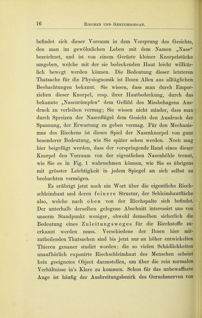 befindet sich dieser Yorraum in dem Yorsprung des Gesichts, j den man im gewöhnhchen Leben mit dem Namen „Nase bezeichnet, und ist von einem Gerüste kleiner Knorpelstücke umgeben, welche mit der sie bedeckenden Haut leicht willkür- ; lieh bewegt werden können. Die Bedeutung dieser letzteren Thatsache für die Physiognomik ist Ihnen Allen aus alltäglichen j Beobachtungen bekannt. Sie wissen, dass man durch Empor- ziehen dieser Knorpel, resp. ihrer Hautbedeckung, durch das bekannte „Nasenrümpfen dem Gefühl des Missbehagens Aus- ^ druck zu verleihen vermag; Sie wissen nicht minder, dass man durch Spreizen der Nasenflügel dem Gesicht den Ausdruck der Spannung, der Erwartung zu geben vermag. Für den Mechanis- mus des Riechens ist dieses Spiel der Nasenknorpel von ganz | besonderer Bedeutung, wie Sie später sehen werden. Noch mag hier beigefügt werden, dass der vorspringende Rand eines dieser Knorpel den Yorraum von der eigentlichen Nasenhöhle trennt, wie Sie es in Fig. 1 wahrnehmen können, wie Sie es übrigens , mit grösster Leichtigkeit in jedem Spiegel an sich selbst zu beobachten vermögen. Es erübrigt jetzt noch ein Wort über die eigentliche Riech- schleimhaut und deren feinere Structur, der Schleimhautfläche also, welche nach oben von der Riechspalte sich befindet. Der unterhalb derselben gelegene Abschnitt interessirt uns von - unserm Standpunkt weniger, obwohl demselben sicherlich die i Bedeutung eines Zuleitungsweges für die Riechstoff'e zu- i erkannt werden muss. Yerschiedene der Ihnen hier mit- i zutheilenden Thatsachen sind bis jetzt nur an höher entwickelten | Thieren genauer studirt worden: die so vielen Schädlichkeiten ! unaufhörlich exponirte Riechschleimhaut des Menschen scheint i kein geeignetes Object darzustellen, um über die rein normalen j Yerhältnisse in's Klare zu kommen. Schon für das unbewaffnete | Auge ist häufig der Ausbreitungsbezirk des Geruchsnerven von |