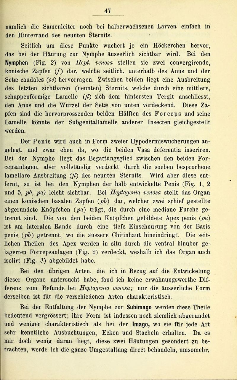 nämlich die Samenleiter noch bei halberwachsenen Larvea einfach in den Hinterrand des neunten Sternits. Seitlich um diese Punkte wuchert je ein Höckerchen hervor, das bei der Häutung zur Nymphe äusserlich sichtbar wird. Bei den Nymphen (Fig. 2) von Hept. venosa stellen sie zwei convergirende, konische Zapfen (f) dar, welche seitlich, unterhalb des Anus und der Setse caudales (sc) hervorragen. Zwischen beiden liegt eine Ausbreitung des letzten sichtbaren (neunten) Sternits, welche durch eine mittlere, schuppenförmige Lamelle (fl) sich dem hintersten Tergit anschliesst, den Anus und die Wurzel der Setse .von unten verdeckend. Diese Za- pfen sind die hervorprossenden beiden Hälften des Forceps und seine Lamelle könnte der Subgenitallamelle anderer Insecten gleichgestellt werden. Der Penis wird auch in Form zweier Hypodermiswucherungen an- gelegt, und zwar eben da, wo die beiden Vasa deferentia inseriren. Bei der Nymphe liegt das Begattungsglied zwischen den beiden For- cepsanlagen, aber vollständig verdeckt durch die soeben besprochene lamellare Ausbreitung (fl) des neunten Sternits. Wird aber diese ent- fernt, so ist bei den Nymphen der halb entwickelte Penis (Fig. 1, 2 und 5, pb, pa) leicht sichtbar. Bei Heptagenia venosa stellt das Organ einen konischen basalen Zapfen (ph) dar, welcher zwei schief gestellte abgerundete Knöpfchen (pa) trägt, die durch eine mediane Furche ge- trennt sind. Die von den beiden Knöpfchen gebildete Apex penis (pa) ist am lateralen Rande durch eine tiefe Einschnürung von der Basis penis. (ph) getrennt, wo die äussere Chitinhaut hineindringt. Die seit- lichen Theilen des Apex werden in situ durch die ventral hinüber ge- lagerten Forcepsanlagen (Fig. 2) verdeckt, weshalb ich das Organ auch isolirt (Fig. 8) abgebildet habe. Bei den übrigen Arten, die ich in Bezug auf die Entwickelung dieser Organe untersucht habe, fand ich keine erwähnungswerthe Dif- ferenz vom Befunde bei Heptagenia venosa; nur die äusserliche Form derselben ist für die verschiedenen Arten charakteristisch. Bei der Entfaltung der Nymphe zur Subimago werden diese Theile bedeutend vergrössert; ihre Form ist indessen noch ziemlich abgerundet und weniger charakteristisch als bei der Imago, wo sie für jede Art sehr kenntliche Ausbuchtungen, Ecken und Stacheln erhalten. Da es mir doch wenig daran liegt, diese zwei Häutungen gesondert zu be- trachten, werde ich die ganze Umgestaltung direct behandeln, umsomehr,