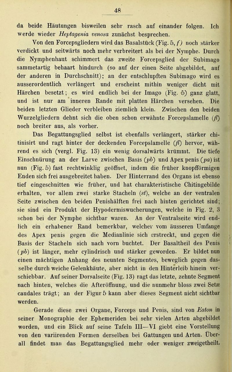 da beide Häutungen bisweilen sehr rasch auf einander folgen. Ich Werde wieder Heptagenia venosa zunächst besprechen. Von den Forcepsgliedern wird das Basalstück (Fig. b,f) noch stärker verdickt und seitwärts noch mehr verbreitert als bei der Nymphe. Durch die Nymphenhaut schimmert das zweite Forcepsglied der Subimago sammetartig behaart hindurch (so auf der einen Seite abgebildet, auf der anderen in Durchschnitt); an der entschlupften Subimago wird es ausserordentlich verlängert und erscheint mithin weniger dicht mit Härchen besetzt; es wird endlich bei der Image (Fig. -5) ganz glatt, und ist nur am inneren Rande mit platten Härchen versehen. Die beiden letzten Glieder verbleiben ziemlich klein. Zwischen den beiden Wurzelgliedern dehnt sich die oben schon erwähnte Forcepslamelle {fl) noch breiter aus, als vorher. Das Begattungsglied selbst ist ebenfalls verlängert, stärker chi- tinisirt und ragt hinter der deckenden Forcepslamelle (/?) hervor, wäh- rend es sich (vergl. Fig. 13) ein wenig dorsalwärts krümmt. Die tiefe Einschnürung an der Larve zwischen Basis (ph) und Apex penis (pa) ist nun (Fig. 5) fast rechtwinklig geöffnet, indem die früher knopfförmigen Enden sich frei ausgebreitet haben. Der Hinterrand des Organs ist ebenso tief eingeschnitten wie früher, und hat charakteristische Chitingebilde erhalten, vor allem zwei starke Stacheln {st), welche an der ventralen Seite zwischen den beiden Penishälften frei nach hinten gerichtet sind; sie sind ein Produkt der Hypodermiswucherungen, welche in Fig. 2, 3 schon bei der Nymphe sichtbar waren. An der Ventralseite wird end- lich ein erhabener Rand bemerkbar, welcher vom äusseren Umfange des Apex penis gegen die Medianlinie sich erstreckt, und gegen die Basis der Stacheln sich nach vorn buchtet. Der Basaltheil des Penis (ph) ist länger, mehr cylindrisch und stärker geworden. Er bildet nun einen mächtigen Anhang des neunten Segmentes, beweglich gegen das- selbe durch weiche Gelenkhäute, aber nicht in den Hinterleib hinein ver- schiebbar. Auf seiner Dorsalseite (Fig. 13) ragt das letzte, zehnte Segment nach hinten, welches die Afteröffnung, und die nunmehr bloss zwei Setas caudales trägt; an der Figur 5 kann aber dieses Segment nicht sichtbar werden. Gerade diese zwei Organe, Forceps und Penis, sind von Eaton in seiner Monographie der Ephemeriden bei sehr vielen Arten abgebildet worden, und ein Blick auf seine Tafeln III—VI giebt eine Vorstellung von den variirenden Formen derselben bei Gattungen und Arten. Über- all findet man das Begattungsglied mehr oder weniger zweigetheilt.