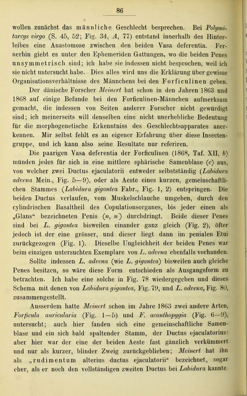 wollen zunächst das männliche Geschlecht besprechen. Bei Polymi- tarcys virgo (S. 45, 52; Fig. 34, A, 77) entstand innerhalb des Hinter- leibes eine Anastomose zwischen den beiden Vasa deferentia. Fer- nerhin giebt es unter den Ephemeriden Gattungen, wo die beiden Penes unsymmetrisch sind; ich habe sie indessen nicht besprochen, weil ich sie nicht untersucht habe. Dies alles wird uns die Erklärung über gewisse Organisationsverhältnisse des Männchens bei den Forficulinen geben. Der dänische Forscher Meinert hat schon in den Jahren 1863 und 1868 auf einige Befunde bei den Forficulinen-Männchen aufmerksam gemacht, die indessen von Seiten anderer Forscher nicht gewürdigt sind; ich meinerseits will denselben eine nicht unerhebliche Bedeutung für die morphogenetische Erkenntniss des Geschlechtsapparates aner- kennen. Mir selbst fehlt es an eigener Erfahrung über diese Insecten- gruppe, und ich kann also seine Eesultate nur referiren. Die paarigen Vasa deferentia der Forficulinen (1868, Taf. XII, h) münden jedes für sich in eine mittlere sphärische Samenblase (c) aus, von welcher zwei Ductus ejaculatorii entweder selbstständig (Lahidura advena Mein., Fig. 5—9), oder als Aeste eines kurzen, gemeinschaftli- chen Stammes {Lahidura gigantea Fabr., Fig. 1, 2) entspringen. Die beiden Ductus verlaufen, vom Muskelschlauche umgeben, durch den cylindrischen Basaltheil des Copulationsorganes, bis jeder einen als „Glans bezeichneten Penis {n^ n) durchdringt. Beide dieser Penes sind bei L. gigantea bisweilen einander ganz gleich (Fig. 2), öfter jedoch ist der eine grösser, und dieser liegt dann im penialen Etui zurückgezogen (Fig. 1). Dieselbe Ungleichheit der beiden Penes war beim einzigen untersuchten Exemplare von L. advena ebenfalls vorhanden. Sollte indessen L. advena (wie L. gigantea) bisweilen auch gleiche Penes besitzen, so wäre diese Form entschieden als Ausgangsform zu betrachten. Ich habe eine solche in Fig. 78 wiedergegeben und dieses Schema mit denen von Lahidura gigantea, Fig. 79, und L. advena,¥iQ. 80, zusammengestellt. Ausserdem hatte Meinert schon im Jahre 1863 zwei andere Arten, Forficula auricularia (Fig. 1—5) und F. acanthopygia (Fig. 6-—9), untersucht; auch hier fanden sich eine gemeinschaftliche Samen- blase und ein sich bald spaltender Stamm, der Ductus ejaculatorius: aber hier war der eine der beiden Aeste fast gänzlich verkümmert und nur als kurzer, blinder Zweig zurückgeblieben; Meinert hat ihn als „rudimentum alterius ductus ejaculatorii bezeichnet, sogar eher, als er noch den vollständigen zweiten Ductus bei Lahidura kannte.