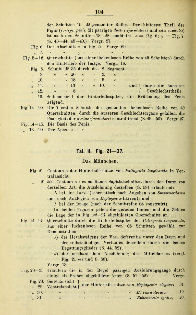 den Schnitten 15—22 genannter Reihe. Ber hinterste Theil der Figur {forceps, penis, die paarigen ductus ejaculatorii und setoe caudales) ist nach den Schnitten 13—28 combinirt. x = Fig. Q; y =z Fig. 7. (S. 43-44, 48-49.) Vergr. 27. Fig. 6. Der Abschnitt x in Fig. 5. Vergr. 69. 7. «  y « « « Fig. 8—12. Querschnitte (aus einer lückenlosen Reihe von 49 Schnitten) durch den Hinterleib der Imago. Vergr. 16. Fig. 8. Schnitt M 35 durch das 8. Segment. „ 9. « « 20 c( « 9. « 10. « « 18 « « 9. „ 11. « « 13 « « 10. « und \ durch die äusseren „ 12. « « 8 ) Geschlechtstheile. „ 13. Seitenansicht der Hinterleibsspitze, die Krümmung des Penis zeigend. Fig. 14—20. Die 7 ersten Schnitte der genannten lückenlosen Reihe von 49 Querschnitten, durch die äusseren Geschlechtsorgane gefallen, die Paarigkeit der ductus ejaculatorii controUirend (S. 49—50). Vergr. 27. Fig. 14—15. Die Basis des Penis. „ 16—20. Der Apex « « . Taf. II. Fig. 21—37. Das Männchen. Fig. 21. Contouren der Hinterleibsspitze von Palingenia longicauda in Ven- tralansicht. „ 21 his. Contouren des medianen Sagittalschnittes durch den Darm von derselben Art, die Ausdehnung desselben (S. 58) erläuternd: L bei der Larve (schematisch nach Angaben von Swammerdamm und nach Analogien von Heptagenia-hsiYxen); und / bei der Imago (nach der Schnittreihe 68 construirt). In beiden Figuren geben die geraden Linien und die Zahlen die Lage der in Fig. 22—27 abgebildeten Querschnitte an. Fig. 22—27. Querschnitte durch die Hinterleibsspitze der Palingenia longicauda, aus einer lückenlosen Reihe von 68 Schnitten gewählt, zur Demonstration a) des Herabsteigens der Vasa deferentia unter den Darm und des selbstständigen Verlaufes derselben durch die beiden Begattungsglieder (S. 44, 52); b) der mechanischen Ausdehnung des Mitteldarmes (vergl. Fig. 21 bis und S. 58). Vergr. 13. Fig. 28—33 erläutern die in der Regel paarigen Ausführungsgänge durch einige als Proben abgebildete Arten (S. 51—52). Vergr. Fig. 28. Seitenansicht ) ^. 29 Ventralansicht j Hinterleibsspitze von Beptagenia elegans; öl. „ 30. « « « « ff. semicolorata; 19. ,. 31. «  « « Ephemerella ignita; 20.