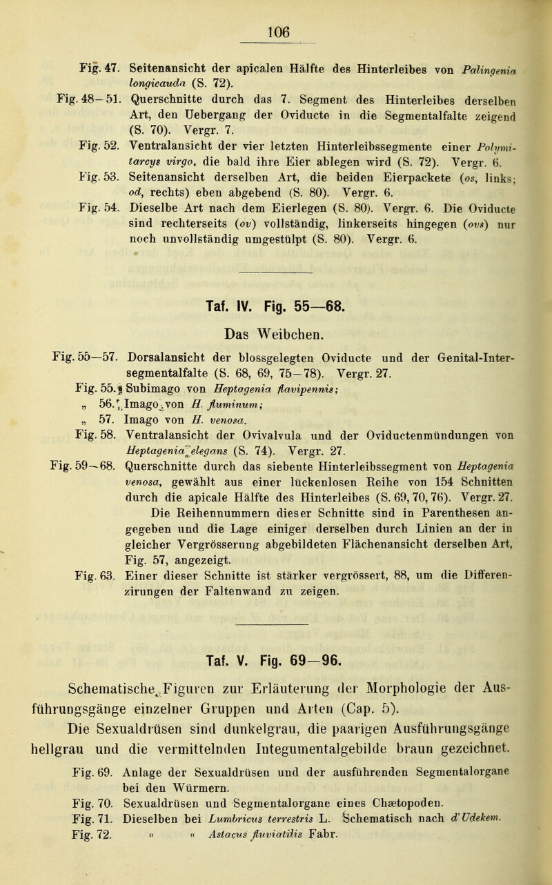 Fig. 47. Seitenansicht der apicalen Hälfte des Hinterleibes von Palingenia longicauda (S. 72). Fig. 48-51. Querschnitte durch das 7. Segment des Hinterleibes derselben Art, den üebergang der Oviducte in die Segmentalfalte zeigend (S. 70). Vergr. 7. Fig. 52. Ventralansicht der vier letzten Hinterleibssegmente einer Polymi- tarcys virgo, die bald ihre Eier ablegen wird (S. 72). Vergr. 6. Fig. 53. Seitenansicht derselben Art, die beiden Eierpackete (os, links; od, rechts) eben abgebend (S. 80). Vergr. 6. Fig. 54. Dieselbe Art nach dem Eierlegen (S. 80). Vergr. 6. Die Oviducte sind rechterseits (ov) vollständig, linkerseits hingegen (ovs) nur noch unvollständig umgestülpt (S. 80). Vergr. 6. Tat. IV. Fig. 55—68. Das Weibchen. Fig. 55—57. Dorsalansicht der blossgelegten Oviducte und der Genital-Inter- segmentalfalte (S. 68, 69, 75-78). Vergr. 27. Fig. 55.1 Subimago von Heptagenia ßavipennis; „ 56. yJmago^von H. ßuminum; „ 57. Imago von H. venosa. Fig. 58. Ventralansicht der Ovivalvula und der Oviductenmündüngen von HeptageniaTelegans (S. 74). Vergr. 27. Fig. 59—68. Querschnitte durch das siebente Hinterleibssegment von Heptagenia venosa, gewählt aus einer lückenlosen Reihe von 154 Schnitten durch die apicale Hälfte des Hinterleibes (S. 69,70,76). Vergr. 27. Die Reihennummern dieser Schnitte sind in Parenthesen an- gegeben und die Lage einiger derselben durch Linien an der in gleicher Vergrösserung abgebildeten Flächenansicht derselben Art, Fig. 57, angezeigt. Fig. 63. Einer dieser Schnitte ist stärker vergrössert, 88, um die Differen- zirungen der Faltenwand zu zeigen. Taf. V. Fig. 69-96. Schematische^.Figuren zur Erläuterung der Morphologie der Aus- ftihrungsgänge einzelner Gruppen und Arten (Cap. 5). Die Sexualdrüsen sind dunkelgrau, die paarigen Ausführungsgänge hellgrau und die vermittelnden Integumentalgebilde braun gezeichnet. Fig. 69. Anlage der Sexualdrüsen und der ausführenden Segmentalorgane bei den Würmern. Fig. 70. Sexualdrüsen und Segmentalorgane eines Chsetopoden. Fig. 71. Dieselben bei Lumbrims terrestris L. tSchematisch nach d'Udekem. Fig. 72. « '< Astacus ßuviatiiis Fabr.