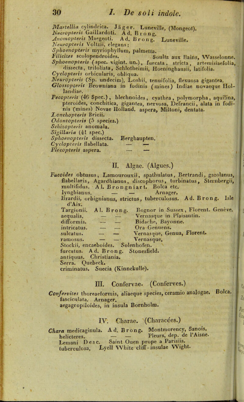 Martellia cylindrica. Jager, Luneville, (Mongeo»), JSlticropteris Gaillar^oli. A d. Bi ong. Jiioniopteris MacfieolL Ad. Brong. Luneviile. JNauropteris Vollzii, olegans; Sphoenopteris raynophyllum, palmetla. Filicit^s scolopendroides. Soullz aux Rains, Wasselonne. Sphoenopteris (spec. xi^ini. \m.) , furcata , stricla , arteiiiisiaefolia, dissecta, triloliata, Schlotheimii, Hoeninghausii, latifolia. Cyclopteris orhicularis, obliqua. Isleuropteris (Sp, undecim), Loshii, tenuifolia, llexuosa gigantea. Glossopteris Browniana in fodinis (raines) Indiae no*aeque Hol- landiae. Pecopteris (46 Spec.) , blechnoides, cyathca , polyraorpha, aquilina, pteroides, conchitica, gigantea, nervosa, Defrancii, alata in fodi- nis Cmines) Novae nolland. aspera, Milloni, dentala. Lonchopteris Bricii. Odontopteris (5 species.) Schizopteris anomala. Sigillaria (41 spec.) Sphoevopteris dissecta. Bergbaupten. Cyclopteris ilabellata. — —- Plecopteris aspera. — — n. Algae. (Algues.) Fucoides obtusus, Lamourouxii, spalhulatus, Bertrandi, gazolanus, flabellaris, Agardhianus, discophorus, turbinatus, Sternbergii, rnullindus. A I. B r on gn i^r t. Bolca etc. lyngbianus. — — Arnager. Brardii, orbignianus, strictus, tuberculosus. Ad. Brong. Isle d'Aix. Targionii. A I. Brong. Bognor in Sussex, Florent. Gencve. aequalis. — — Vernasque in Pfaisantin. difformis. — — Bidarhe, Bayonne. intricatus. — — Ora Genuens. sulcatus. — — Vernasque, Genua, Florent. ramosus. — — Vernasque, Stockii, encaeboides. Solenhofen. furcatus. A d. Brong. Stonesfield. antiquus. Christiania. Serra. Quebeck. criminalus. Suecia (KinnekuIIe). ni. Confervae. (Confei^ves.) Confervites thoreaeformis, aliaeque species, ceramio analogae. Dolca. fasciculata. Arnager. aegagropiloides, in insula Bornholm. IV. Charae. (Charace'es.) Chara medicaginula. Ad. Brong. Montmorency, Sanois. helicteres. — — Pleurs, dep. de TAisne. Lemani Desc, Saint Ouen prope a Pansiis. tuberculosa, Lyell White cliff-insulae Wight.