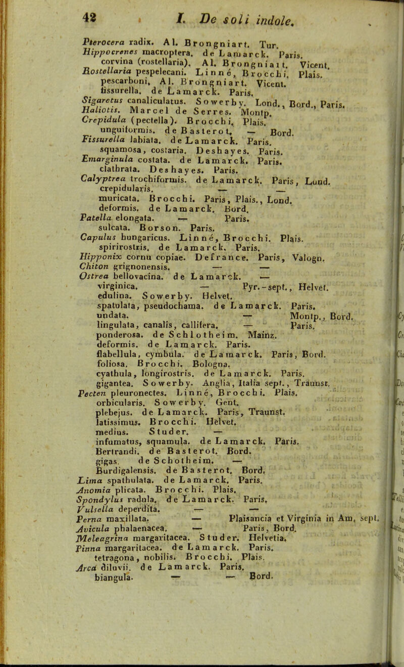 Pterocera radix. Al. Brongniart. Tur. Hippocrenes macroptera. de Lanjarck. Paris corvina (rostellaria). Al. B r o n g n i a 11. Vicent Rostellaria ■pespehcani. Li n n e , B ro ccL i. Plais. * pescarboni, Al. Brongniart. Vicent. tissurella. de Lamarck. Paris. 37^«^«^«^ canaliculatus. Sowerby. Lond., Bord., Paris. Haltotis. Marcel de Serres. Montp. Crcprtfa/fl (pectella). Broccbi. Plais. * unguiforrais. deBasterot, — Bord. Fissurella labiata. deLamarcIt. Paris, squamosa, costaria. Deshayes. Paris. Emarginula cosfata. de Lamarck. Paris. clalhrala. Deshayes. Paris. Calyptrea trochiforiuis. de Lamarck. Paris, Lund. crepidularis, —• muricata. Brocchi. Paris, Plais., Lond. deformis. de Lamarck. Bord. Patella elongata. — Paris. sulcata. Borson. Paris, C«pm/«j hungaricus. Linne,Brocchi. Plqis. spirirostris. de Lamarck. Paris. Hipponix cornu copiae. Defrance. Paris, Valogn. Chiton grignonensis. — — Ostrea bellovacina. de Lamarck. — virginica. — Pyr.-sept., Helvet. edulina. Sowerby. Helvet. spatulata, pseudochama. de Lamarck. Paris. undata. — Montp., Bord. lingulata, canalis, callifera. -r- Paris, ponderosa. deSchlotheim. Mainz. deformis. de Lamarck, Paris. flabellula, cymbula. deLamarck. Paris, Bord. foliosa. Brocchi. Bologna. cyathula, longirostris. de Lamarck. Paris. gigantea. Sowerby. Anglia, Italia sep»., Traunst. Pecten pleuronectes. Linne, Brocchi. Plais. orbicularis. Sowcrby. Gent. plebejus. deLamarck. Paris, Traunst. latissimus. Brocchi. Hielvet. medius. Studer. — infumatus, squamula. de Lamarck. Paris. Bertrandi. de Basterot. Bord. gigas. deScbotheim. —: Burdigalensis. deBasterot. Bord. Lima spathulata. de Lamarck. Paris. Anomia plitata. Brocchi. Plais. Spondylus radula. de Lamarck. Paris. Vulsella deperdita. -r- — Perna maxillata. —- Plpisancia et Virginia in Am, sepl. jivicula phalaenacea. — Paris, Bord, 7WeZecg:rrna margaritacea. Studer. Helvetia^ J>inna margaritacea. de Lamarck. Paris. telragona, nobilis. Brocchi. Plais. Arcd 6i\a\'iK de Lamarck, Paris. biangula. — — Bord.