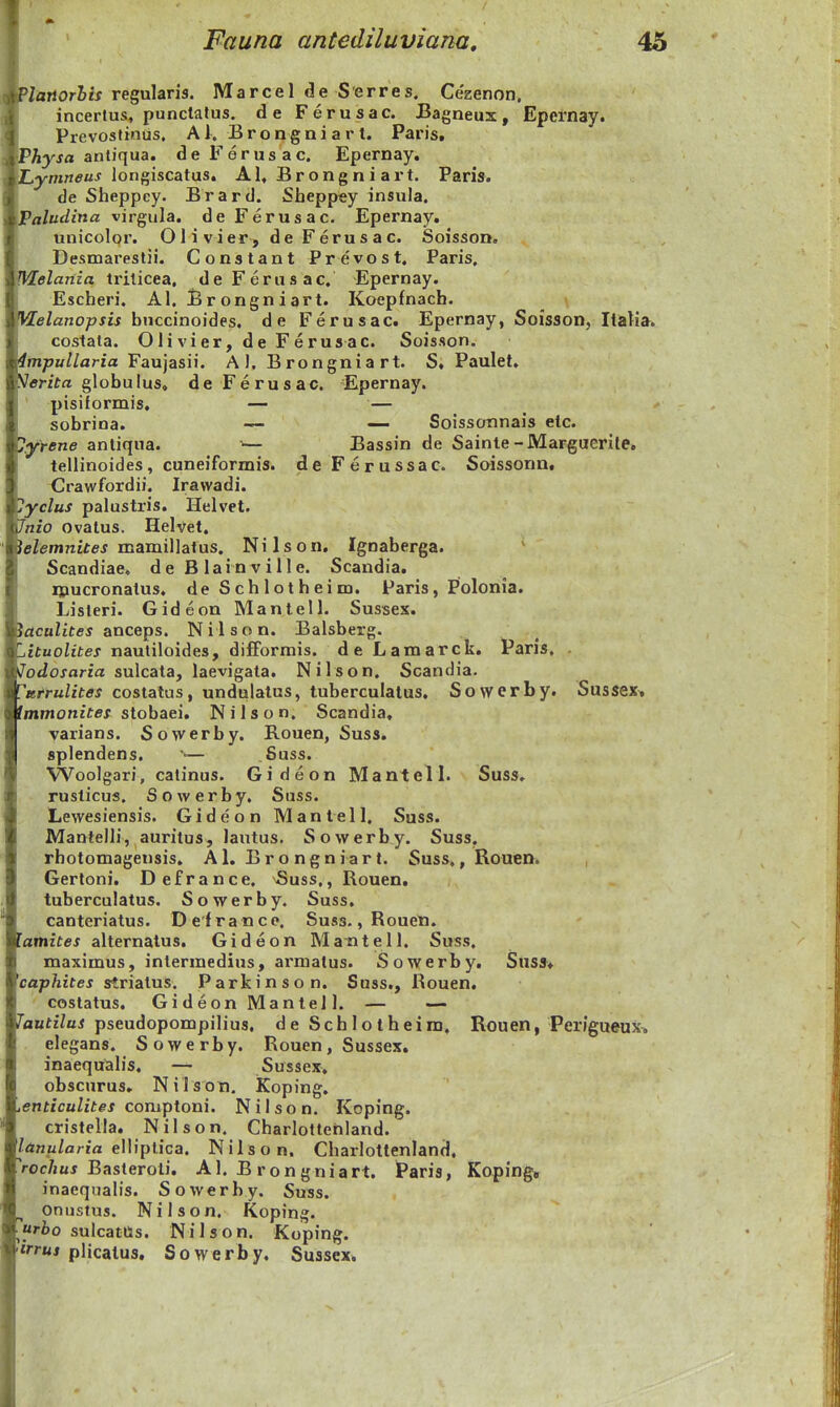 ■P/anor&M regularis. Marcel de Serres. Cezenon. ■ incerius, punclatus. de Ferusac. Bagneux, Epcrnay. I Prevoslinus, Al. Brongniart. Paris, ■P^jjfl antiqua. deFerusac. Epernay. WT.ymnfiu.s longiscatus. Al, B r o n g n i a r t. Paris. ■r de Sheppey. Brard. Sbeppey insula. wValudina virgula. de Ferusac. Epernay. ■ unicolor. Olivier, deFerusac. Soisson. Destnareslii. Constant Prevost, Paris, Melartia ti'ilicea, deFerusac. Epernay. Escheri. Al. Brongniart. Koepfnach. Welanopsis bnccinoides. de Ferusac. Epernay, Soisson, ItaMa. costata. Olivier, deFerusac. Soisson. iinpullaria Faujasii. AJ, Brongniart. S, Paulet. Verfta globulus, de Ferusac. 'Epernay. pisiformis, — — sobrina. — — Soissonnais elc. lyrene anliqua. ^— Bassin de Sainle-Marguerile. tellinoides, cuneiformis. de Ferussac. Soissorm, Crawfordii. Irawadi. lyclus palustris. Helvet. Jnio Ovatus. Helvet. ]elemnites mB.m\\\&\ns. Nilson, Ignaberga. ' Scandiae, d e B lain v i 11 e. Scandia. ipucronatus, deSchlotheim. Paris, Polonia. Lisleri. Gideon Mantell, Sussex. IdcaZite* anceps. Nilson. Balsberg. 'Atuolites nautiloides, difFormis. de Lamarck. Paris, . Jodosaria sulcata, laevigata. Nilson. Scandia. ['Ktrulites costatus, undulatus, tuberculatus, Sowerby. Sussex, fmmonites sloitaei, Nilson, Scandia, varians. Sowerby. Rouen, Suss. splendens, — 6uss. Woolgari, catinus. Gideon Mantell. Suss, rusticus. Sowerby. Suss. Lewesiensis. Gideon Mantell, Suss. Mantelli, aurilus, lantus. Sowerby. Suss, rhotomagensis. A1. B r o n g n i a r t, Suss., Rouen. Gertoni. Defrance, Suss,, Rouen. tuberculatus. Sowerby. Suss, canteriatus. Defrance. Sus3.,Rouen. famztef alternatus. Gideon Mantell, Suss. maximus, inlermedius, armatus. Sowerby. Sns»« caphites strialus. Parkinson. Suss., Rouen. costatus. GideonManteJl. — — TiflutzZai pseudopompilius, deSchlotheira, Rouen, Perigueux, elegans. Sowerby. Rouen, Sussex. inaequalis. — Sussex, obscurus, Nilson. Koping, ient/cu/ft^j comptoni. Nilson. Koping. cristella. Nilson. Charlottenland. /oin.uZflrm elliptica, Nilson. Charloltenland, Voc/iuj Basteroti. AI, B r on gniart, Paris, Koping, inaequalis. Sovverby. Suss, ^ onustus. Nilson, Koping. urbo sulcattts. Nilson. Koping. «Tttj piicaius. Sowerby, Sussex.