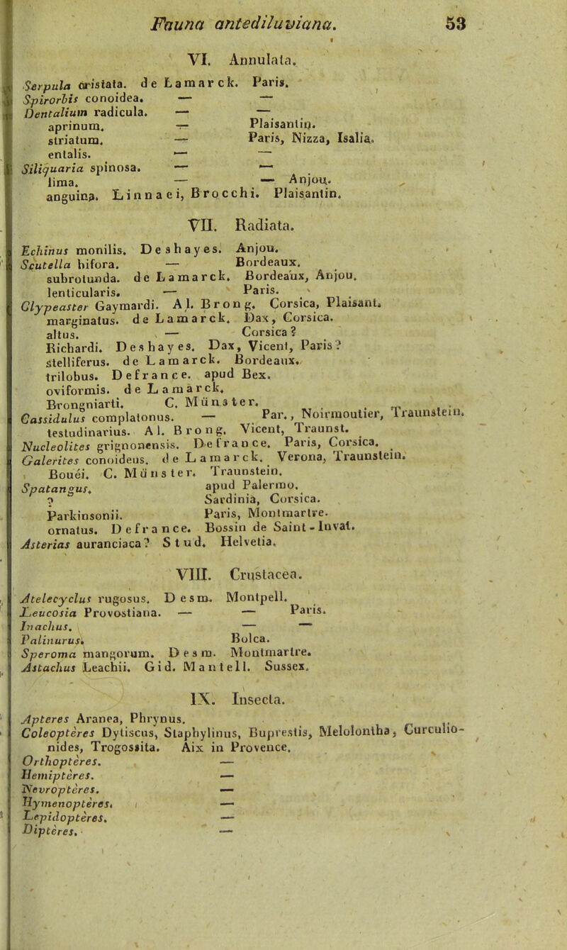 I VI. Amiulala. Serpula aristala. de Lamarck. Paris. Spirorhit tonoidea. — — Dentalium radicula. — — aprinum. -r- Plaisanl iq. striatum. — Paris, Nizza, Isalia. entalis. — Siliquaria splnosa. — — lima. — — Anjou. anguinj. Lin n a e i, Brocchi. Plaisantin. Vn. Radiata. Ec/n'nu* monilis. DeshaycsJ Anjou. Stutella bifora. — Bnrdeaux. subroluwda. de Lamarck. Bordeaux, Anjou. lenlicularis. ■— Paris. Glypeaster Gayraardi. A,l. Bronf,'. Corsica, Plaisant, marginatus. deLamarck. Dax,Gorsica. altus. — Corsica ? Richardi. Deshayes. Dax, Vicenl, Paris? stelliferus. deLamarck. Bordeaux, trilobus. Defrance. apud Bex. ovifoi-mis. deLaraarck. Brongniarli. C. Munater. ^ eassidulus complalonus. - Par., Noirmoulier, Iraunsleiu. testudinarius. A1. Brong. Viccnt, Traunsl. Nucleolites Qr\^nontns\s. Defrance. Pans, Corsica. Galerites conniiieus. deLamarck. Verona, Traunstein. Bouei. C. Miinster. Traunstein. Spatangus. apud Palerrao. > Sardinia, Corsica. Parkinsonii. Paris, Monlraarlre. ornatus. Defrance. Bossin de Saint-lnval. ^jtm/w auranciaca? Stud. Helvetia, VIII. Cruslacea. Jtelecyclus Yu^osus. Desm. Montpell. Leucosia Provostiana. — — Paris. Jriaclius, i, — Palitiurus. Bolca. Speroma niansorum. D e s m. Moutmarlre. Astachus Leachii. Gid. Mantell. Sussex, IX. Iiisecla. Apteres Aranea, Phrynus, Coleopteres Dytiscus, Slaphylinus, Buprestis, Melolonlha, Curculio- nides, Trogosiita. Aix in Proveuce. Orthopteres. — Hemipteres. — ^evropteres. — Rymenopteres, i — Lepidopteres. — Dipteres, — x