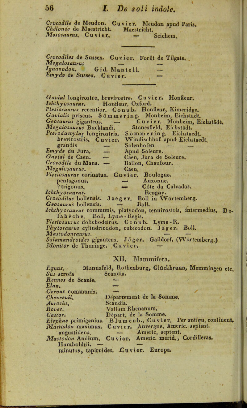 Crocodile de Meudon. Cuvier. Meudon apud Paris, Chelonee de Maestricht. Maestricht. Mososaurus, Cuvier. — Scichem. Crocodiles de Sussex. Cuvier, Foret de Tilgale, Megalosaurus —- — Iguanodon, Gid. Mantell. — Emyde de Sussex. Cuvier. —- ^'ariaZ longirostre, brevirostre. Cuvieri Honfleur, Ichthyosaurus, Honfleur, Oxford. Plesiosaurus recentior. Conub. Honfleur, Kiraeridge. Gavialis priscu&. Sommering. Monheim, Eichsladf. Geosaurus gi^janteus. — Cuvier. Monheim, Eicbstadt. Megalosaurus Bucklandi. Stonesfield, Eicbstadt. Pterodactyluf lon^irosiria, Siimmering, Eichstaedt, brevirostris» Cuvier. Windischhof apud Eichslaedt^ grandis — Solenhofen — — Emyda du Jura, — Apud Soleure. Gavial de Caen. — Caen, Jura de Soleure, Crocodile du Mana. — Ballon» Chaufour, Megalosaurus. Caen, Plesiosaurus corinalus, Cuvier. Boulogne. pentagonus, Auxunne. ?trigonus, C6te du Calvados» Ichthyosaurus. ' Reugny. Crocodilus bollensis. Jaeger. Boll in Wurtemberg. Geosaurus bolleasis, — Boll. Ichthyosaurus communis, platyodon, tenuiroslris, intermedius, De- labeche. BoH, Lynie-Regis. Plesiosaurus doUchodeiras. Conub. Lyme-R, Phytosaurus cylindricodon, cubicodun, Jager. BuU. Mastodonsaurus, — — Salamandroides Qiganleus. Jager. Gaildorf, (Wurtemberg.} Monitor de Thuringe, Cuvier, — XII. Mammifera. Eifuus, Mannsfeld, Rothenburg, Gluckbrunn^ Memmingen etc» Sus scroPa Scandia. Rennes de Scante» •— Elan» — Cervus communis. —• / Chevreuil^ Departement de la Somme. jiurochSf Scandia. Boves. Vallora Rhenanum, Castor. Depart, de la Somme. Elephaa primigenius. Blumenb., Cuvier. Per antJqu. continenU Mastodon maximus, Cuvier. Auvergne, Americ. seplent. angustidens. — Americ. septent, Mastodon Ar\Amva. Cuviqr. Americ. merid., Cordilleras. Humboldtii. — — minutus, tapiroides, Cuvier. Europa.