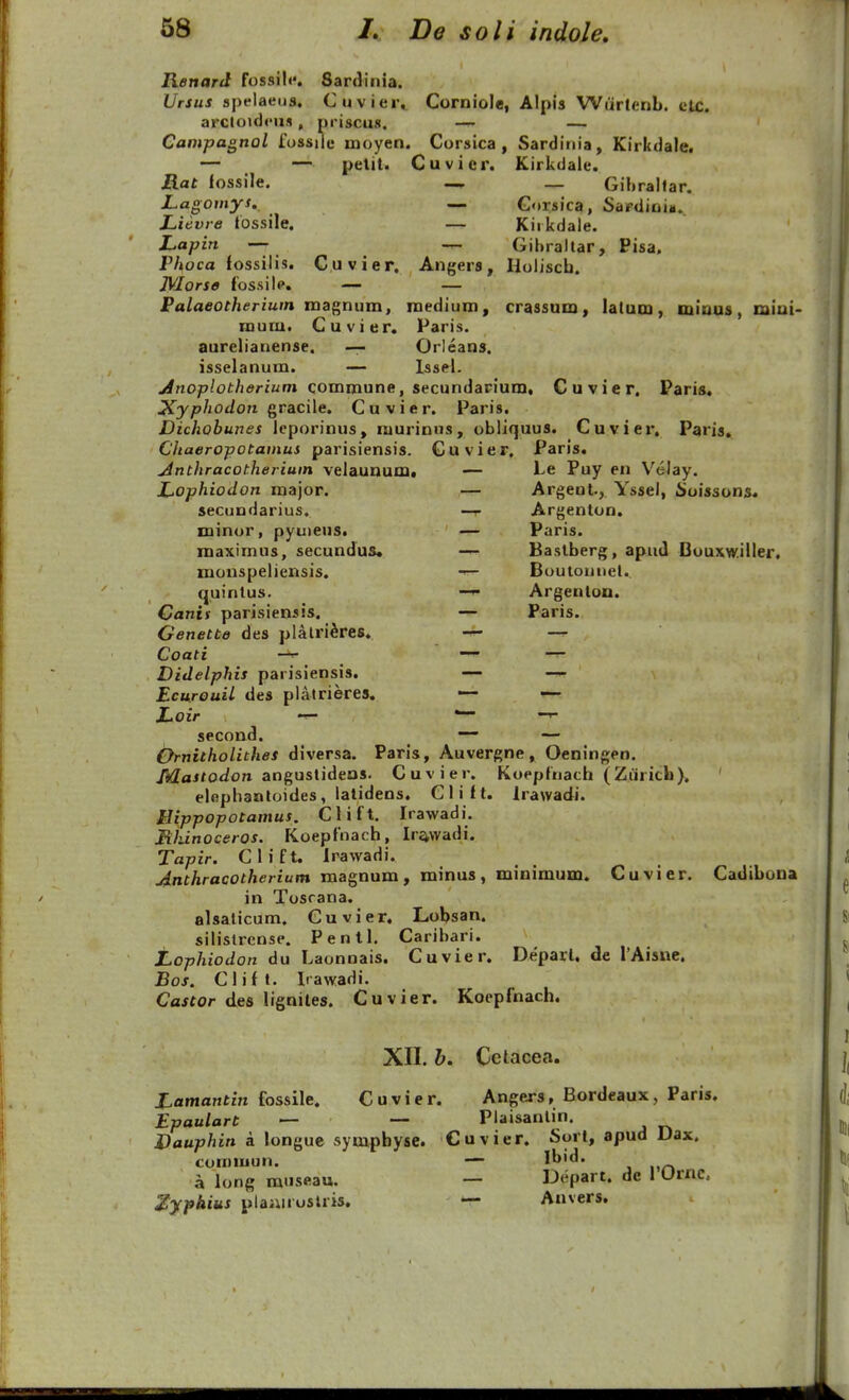 Renard fossiN*. Sardinia. Ursus speiaeua, Cuvier, Corniole, Alpis WiirtenL. ctc. arcloidciis, priscus. — — Campaonol fossiie moyen. Corsica, Sardinia, Kirkdale. — — petit. Cuvier. Kirkdale. Rat lossile. — _ Gihrallar. JLagotnys, — Gorsica, Sardioin. Lievre lossile. — Kiikdale. Lapin — -T- Gihrallar, Pisa. Phoca fossilis. C.uvier. Angers, Holisch. JVIorse fossilp. — — Palaeotherium mz^nuva, inediuni, crassum, latum, miuus, miui- mum. Cuvier. Paris. aurelianense. — Orleans. isselanum. — Issel. ^nop/oi/i<?ri«f7» commune, secundapium. Cuvier. Paris. ^y^//o</o7z gracile. Cuvier. Paris. Dichobunes lcporinus, murinus, obliquus. Cuvier. Paris, Chaeropotamus parisiensis. Guvier. Paris. jinthracotherium velaunum» — Le Puy en V^elay. Lophiodon major. — Argent, Yssel, Soissons. secundarius. —r Argenton. minor, pyuieus. — Paris. raaximus, secundus* — Baslberg, apud Bouxw.iUer, monspeliensis. Boutonuel. quintus. —^ Argenton. Ganis parisiensis. — Paris. Genette des platri^res. —r Coati —^ ' — -r- Didelphis parisiensis. — Ecurouil des platrieres. — •—• Loir -— ~^ second. —- — Ornitholithes diversa. Paris, Auvergne, Oeningen. TkZaifOciora angustideos. Cuvier. Koepfnach (Zuritb). ' elepbantoides, latidens. Glift. Irawadi. Hippopotamus. C 1 i f t. Irawadi. Mhinoceros. lioepfnacb, Ir^vvadi. Tapir. Glift. irawadi. Anthracotherium magnum , minus , minimum. Cuvier. Cadibona in Tosrana. alsaticum, Guvier. Lobsan. silistrense. Pentl. Caribari. Lophiodon du Laonnais. Cuvier. Deparl. de TAisne. Bos. Clift. Irawadi. Castor des ligniles. Cuvier. Koepfnach. XII. h. Cctacea. Xflmarjtm fossile. Cuvier. Angers, Bordeaux, Paris. Epaulart — — Piaisanlin. Dauphin k longue sympbyse. Cuvier. Sort, apud Dax. comiuun. — Ibid. a long rauseau. — Depart. de 1 Ornc. Xyphius plaiuruslris. — Auvers.