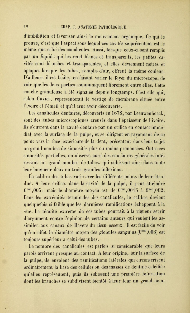 d'inibibition et favoriser ainsi le mouvement organique, Ce qui le prouve, c'est que l'aspect sous lequel ces cavités se présentent est le même que celui des canalicules. Aussi, lorsque ceux-ci sont remplis par un liquide qui les rend blancs et transparents, les petites ca- vités sont blanches et transparentes, et elles deviennent noires et opaques lorsque les tubes, remplis d air, offrent la même couleur. D'ailleurs il est facile, en faisant varier le foyer du microscope, de voir que les deux parties communiquent librement entre elles. Cette couche granuleuse a été signalée depuis longtemps. C'est elle qui, selon Cuvier, représenterait le vestige de membrane située entre l'ivoire et Fémail et qu'il crut avoir découverte. Les canalicules dentaires, découverts en 1678, par Leeuwenhoeck, sont des tubes microscopiques creusés dans l'épaisseur de l'ivoire. Ils s'ouvrent dans la cavité dentaire par un orifice en contact immé- diat avec la surface de la pulpe, et se dirigent en rayonnant de ce point vers la face extérieure de la dent, présentant dans leur trajet un grand nombre de sinuosités plus ou moins prononcées. Outre ces sinuosités partielles, on observe aussi des courbures générales inté- ressant un grand nombre de tubes, qui subissent ainsi dans toute leur longueur deux ou trois grandes inflexions. Le calibre des tubes varie avec les différents points de leur éten- due. A leur orifice, dans la cavité de la pulpe, il peut atteindre 0'',005; mais le diamètre moyen est de 0^^,0015 à 0™,002. Dans les extrémités terminales des canalicules, le calibre devient quelquefois si faible que les dernières ramifications échappent à la vue. La ténuité extrême de ces tubes pourrait à la rigueur servir d'argument contre l'opinion de certains auteurs qui veulent les as- similer aux canaux de Havers du tissu osseux. Il est facile de voir qu'en effet le diamètre moyen des globules sanguins (0'',006) est toujours supérieur à celui des tubes. Le nombre des canalicules est parfois si considérable que leurs parois arrivent presque au contact. A leur origine, sur la surface de la pulpe, ils envoient des ramifications latérales qui circonscrivent ordinairement la base des cellules ou des masses de dentine calcifiée qu'elles représentent, puis ils subissent une première bifurcation dont les branches se subdivisent bientôt à leur tour un grand nom-