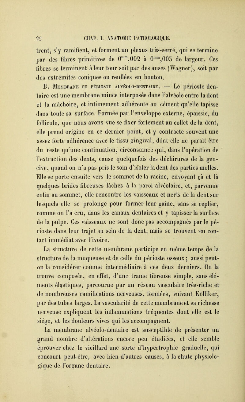 trent, s'y ramifient, et forment un plexus très-serré, qui se termine par des fibres primitives de 0,002 à 0,005 de largeur. Ces fibres se terminent à leur tour soit par des anses (Wagner), soit par des extrémités coniques ou renflées en bouton. B. Membrane ou périoste alvéolo-dentaire. — Le périoste den- taire est une membrane mince interposée dans l'alvéole entre la dent et la mâchoire, et intimement adhérente au cément qu'elle tapisse dans toute sa surface. Formée par l'enveloppe externe, épaissie, du follicule, que nous avons vue se fixer fortement au collet de la dent, elle prend origine en ce dernier point, et y contracte souvent une assez forte adhérence avec le tissu gingival, dont elle ne paraît être du reste qu'une continuation, circonstance qui, dans l'opération de l'extraction des dents, cause quelquefois des déchirures de la gen- cive, quand on n'a pas pris le soin d'isoler la dent des parties molles. Elle se porte ensuite vers le sommet de la racine, envoyant çà et là quelques brides fibreuses lâches à la paroi alvéolaire, et, parvenue enfin au sommet, elle rencontre les vaisseaux et nerfs de la dent sur lesquels elle se prolonge pour former leur gaîne, sans se replier, comme on l'a cru, dans les canaux dentaires et y tapisser la surface de la pulpe. Ces vaisseaux ne sont donc pas accompagnés parle pé- rioste dans leur trajet au sein de la dent, mais se trouvent en con- tact immédiat avec l'ivoire. La structure de cette membrane participe en môme temps de la structure de la muqueuse et de celle du périoste osseux ; aussi peut- on la considérer comme intermédiaire à ces deux derniers. On la trouve composée, en effet, d'une trame fibreuse simple, sans élé- ments élastiques, parcourue par un réseau vasculaire très-riche et de nombreuses ramifications nerveuses, formées, suivant KôUiker, par des tubes larges. La vascularité de cette membrane et sa richesse nerveuse expHquent les inflammations fréquentes dont elle est le siège, et les douleurs vives qui les accompagnent. La membrane alvéolo-dentaire est susceptible de présenter un grand nombre d'altérations encore peu étudiées, et elle semble éprouver chez le vieillard une sorte d'hypertrophie graduelle, qui concourt peut-être, avec bien d'autres causes, à la chute physiolo- gique de l'organe dentaire.