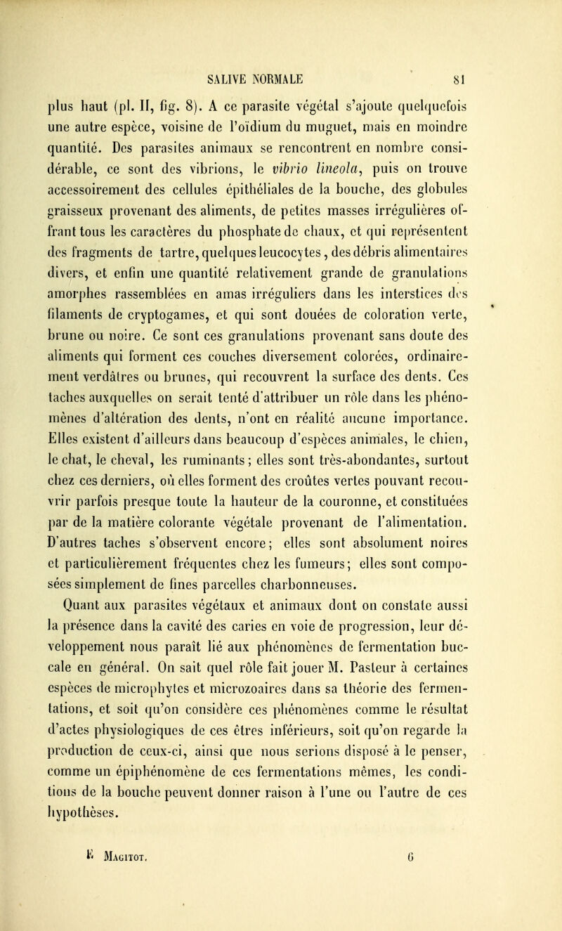 plus haut (pl. Il, fig. 8). A ce parasite végétal s'ajoute quel(iuofois une autre espèce, voisine de l'oïdium du muguet, mais en moindre quantité. Des parasites animaux se rencontrent en nombre consi- dérable, ce sont des vibrions, le vibrio lineola, puis on trouve accessoirement des cellules épithéliales de la bouche, des globules graisseux provenant des aliments, de petites masses irréguUères of- frant tous les caractères du phosphate de chaux, et qui représentent des fragments de tartre, quelques leucocytes, des débris ahmentaires divers, et enfin une quantité relativement grande de granulations amorphes rassemblées en amas irréguHers dans les interstices des filaments de cryptogames, et qui sont douées de coloration verte, brune ou noire. Ce sont ces granulations provenant sans doute des aliments qui forment ces couches diversement colorées, ordinaire- ment verdâtres ou brunes, qui recouvrent la surface des dents. Ces taches auxquelles on serait tenté d'attribuer un rôle dans les phéno- mènes d'altération des dents, n'ont en réalité aucune importance. Elles existent d'ailleurs dans beaucoup d'espèces animales, le chien, le chat, le cheval, les ruminants; elles sont très-abondantes, surtout chez ces derniers, où elles forment des croûtes vertes pouvant recou- vrir parfois presque toute la hauteur de la couronne, et constituées par de la matière colorante végétale provenant de l'alimentation. D'autres taches s'observent encore; elles sont absolument noires et particulièrement fréquentes chez les fumeurs; elles sont compo- sées simplement de fines parcelles charbonneuses. Quant aux parasites végétaux et animaux dont on constate aussi la présence dans la cavité des caries en voie de progression, leur dé- veloppement nous paraît lié aux phénomènes de fermentation buc- cale en général. On sait quel rôle fait jouer M. Pasteur à certaines espèces de microphytes et microzoaires dans sa théorie des fermen- tations, et soit qu'on considère ces phénomènes comme le résultat d'actes physiologiques de ces êtres inférieurs, soit qu'on regarde la production de ceux-ci, ainsi que nous serions disposé à le penser, comme un épiphénomène de ces fermentations mêmes, les condi- tions de la bouche peuvent donner raison à l'une ou l'autre de ces hypothèses. V* Magitot. G