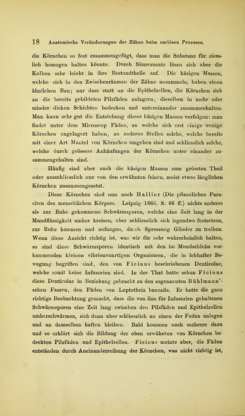 die Körnchen so fest zusammengefügt, dass man die Substanz für ziemv- lich homogen halten könnte. Durch Säurezusatz lösen sich aber die Kolben sehr leicht in ihre Bestandtheile auf. Die käsigen Massen, welche sich in den Zwischenräumen der Zähne ansammeln, haben einen ähnlichen Bau; nur dass statt an die Epithelzellen, die Körnchen sich an die bereits gebildeten Pilzfäden anlagern, dieselben in mehr oder minder dicken Schichten bedecken und untereinander zusammenhalten. Man kann sehr gut die Entstehung dieser käsigen Massen verfolgen: man findet unter dem Microscop Fäden, an welche sich erst einige wenige Körnchen angelagert haben, an anderen Stellen solche, welche bereits mit einer Art Mantel von Körnchen umgeben sind und schliesslich solche, welche durch grössere Anhäufungen der Körnchen unter einander zu- sammengehalten sind. j Häufig sind aber auch die käsigen Massen zum grössten Theil oder ausschliesslich nur von den erwähnten feinen, meist etwas länglichen Körnchen zusammengesetzt. Diese Körnchen sind nun nach Ha Iii er (Die pflanzlichen Para- siten des menschlichen Körpers. Leipzig 1866, S. 66 fi^.) nichts anderes als zur Ruhe gekommene Schwärmsporen, welche eine Zeit lang in der Mundflüssigkeit umher kreisen, aber schliesslich sich irgendwo festsetzen, zur Euhe kommen und anfangen, duich Sprossung Glieder zu treiben. Wenn diese Ansicht richtig ist, was wir für sehr wahrscheinlich halten, so sind diese Schwärmsporen identisch mit den im Mundschleim vor- kommenden kleinen vibrionenartigen Organismen, die in lebhafter Be- wegung begrifl:en sind, den von Ficinus beschriebenen Denticolae, welche somit keine Infusorien sind. In der That hatte schon Ficinus diese Denticolae in Beziehung gebracht zu den sogenannten Bühlmann'- schen Fasern, den Fäden von Leptothrix buccalis. Er hatte die ganz richtige Beobachtung gemacht, dass die von ihm für Infusorien gehaltenen Schwärmsporen eine Zeit lang zwischen den Pilzfäden und Epithelzellen umherschwärmen, sich dann aber schliesslich an einen der Faden anlegen und an demselben haften bleiben. Bald kommen noch mehrere dazu und so erklärt sich die Bildung der oben erwähnten von Körnchen be- deckten Pilzfäden und Epithelzellen. Ficinus meinte aber, die Fäden entständen durch Aneinanderreihung der Körnchen, was nicht richtig ist,