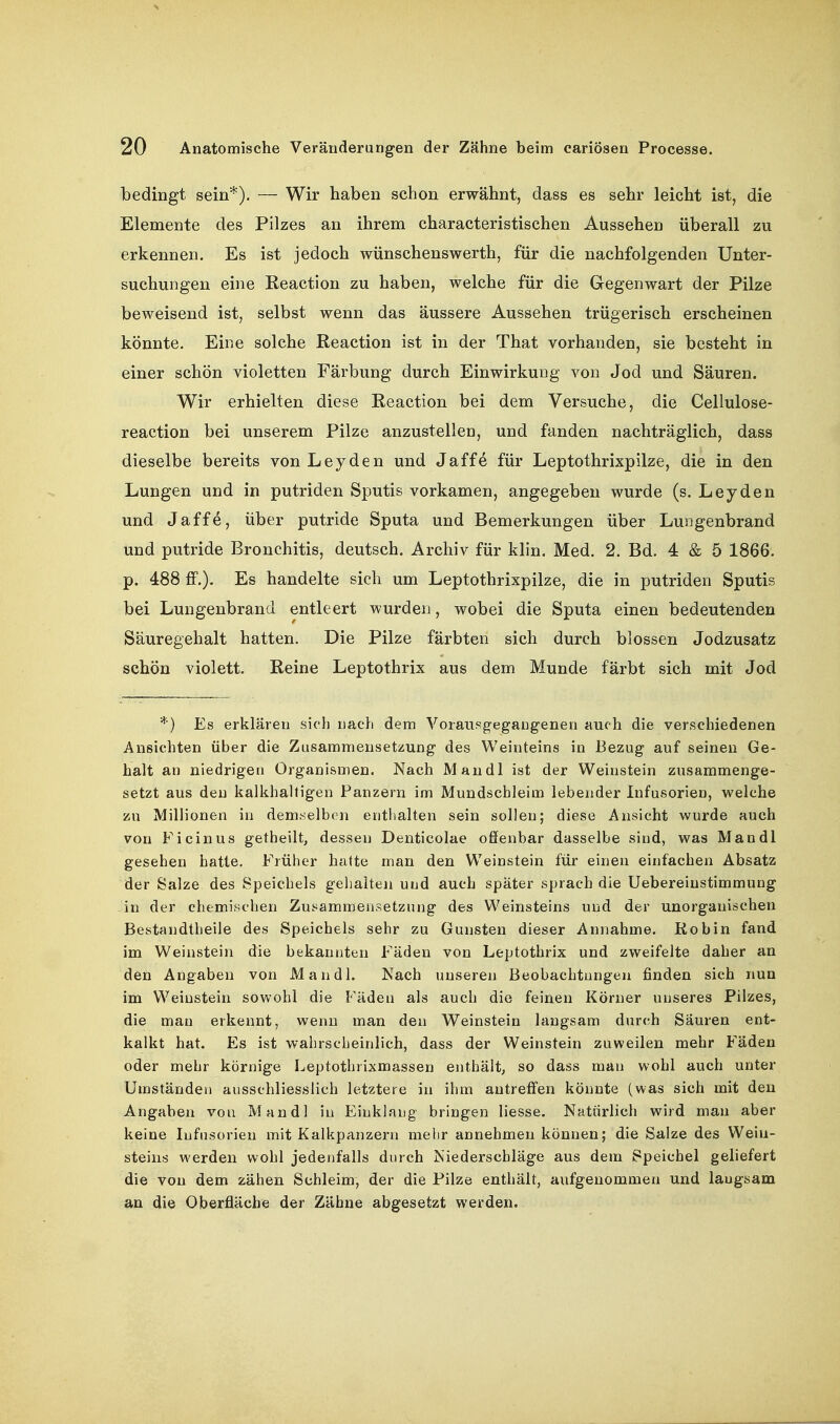 bedingt sein*). — Wir haben schon erwähnt, dass es sehr leicht ist, die Elemente des Pilzes an ihrem characteristischen Aussehen überall zu erkennen. Es ist jedoch wünschenswerth, für die nachfolgenden Unter- suchungen eine Keaction zu haben, welche für die Gegenwart der Pilze beweisend ist, selbst wenn das äussere Aussehen trügerisch erscheinen könnte. Eine solche Reaction ist in der That vorhanden, sie besteht in einer schön violetten Färbung durch Einwirkung von Jod und Säuren. Wir erhielten diese Reaction bei dem Versuche, die Cellulose- reaction bei unserem Pilze anzustellen, und fanden nachträglich, dass dieselbe bereits von Leyden und Jaffe für Leptothrixpilze, die in den Lungen und in putriden Sputis vorkamen, angegeben wurde (s. Leyden und Jaff^, über putride Sputa und Bemerkungen über Lungenbrand und putride Bronchitis, deutsch. Archiv für klin. Med. 2. Bd. 4 & 5 1866. p. 488 ff.). Es handelte sich um Leptothrixpilze, die in putriden Sputis bei Lungenbrand entleert wurden, wobei die Sputa einen bedeutenden Säuregehalt hatten. Die Pilze färbten sich durch blossen Jodzusatz schön violett. Reine Leptothrix aus dem Munde färbt sich mit Jod *) Es erklären sich nach dem Vorausgegangenen auch die verschiedenen Ansichten über die Zusammensetzung des Weinteins in Bezug auf seineu Ge- halt an niedrigen Organismen. Nach Mandl ist der Weinstein zusammenge- setzt aus den kalkhaltigen Panzern im Muudschleim lebender Infusorien, welche zu Millionen in demselben enthalten sein sollen; diese Ansicht wurde auch von Fi ein US getheilt, dessen Denticolae offenbar dasselbe sind, was Mandl gesehen hatte. Früher hatte man den Weinstein für einen einfachen Absatz der Salze des Speichels gehalten und auch später sprach die Uebereinstimmung in der chemischen Zusammensetzung des Weinsteins und der unorganischen Bestandtheile des Speichels sehr zu Gunsten dieser Annahme. Kobin fand im Weinstein die bekannten Fäden von Leptothrix und zweifelte daher an den Angaben von Mandl. Nach unseren Beobachtungen finden sich nun im Weinstein sowohl die Fäden als auch die feinen Körner unseres Pilzes, die man erkennt, wenn man den Weinstein langsam durch Säuren ent- kalkt hat. Es ist wahrscheinlich, dass der Weinstein zuweilen mehr Fäden oder mehr körnige Leptothrixmassen enthält; so dass man wohl auch unter Umständeti ausschliesslich letztere in ihm autreffen könnte (was sich mit den Angaben von Mandl in Einklang bringen Hesse. Natürlich wird man aber keine Infusorien mit Kalkpanzern melir annehmen können; die Salze des Wein- steins werden wohl jedenfalls durch Niederschläge aus dem Speichel geliefert die von dem zähen Schleim, der die Pilze enthält, aufgenommen und laugsam an die Oberfläche der Zähne abgesetzt werden.