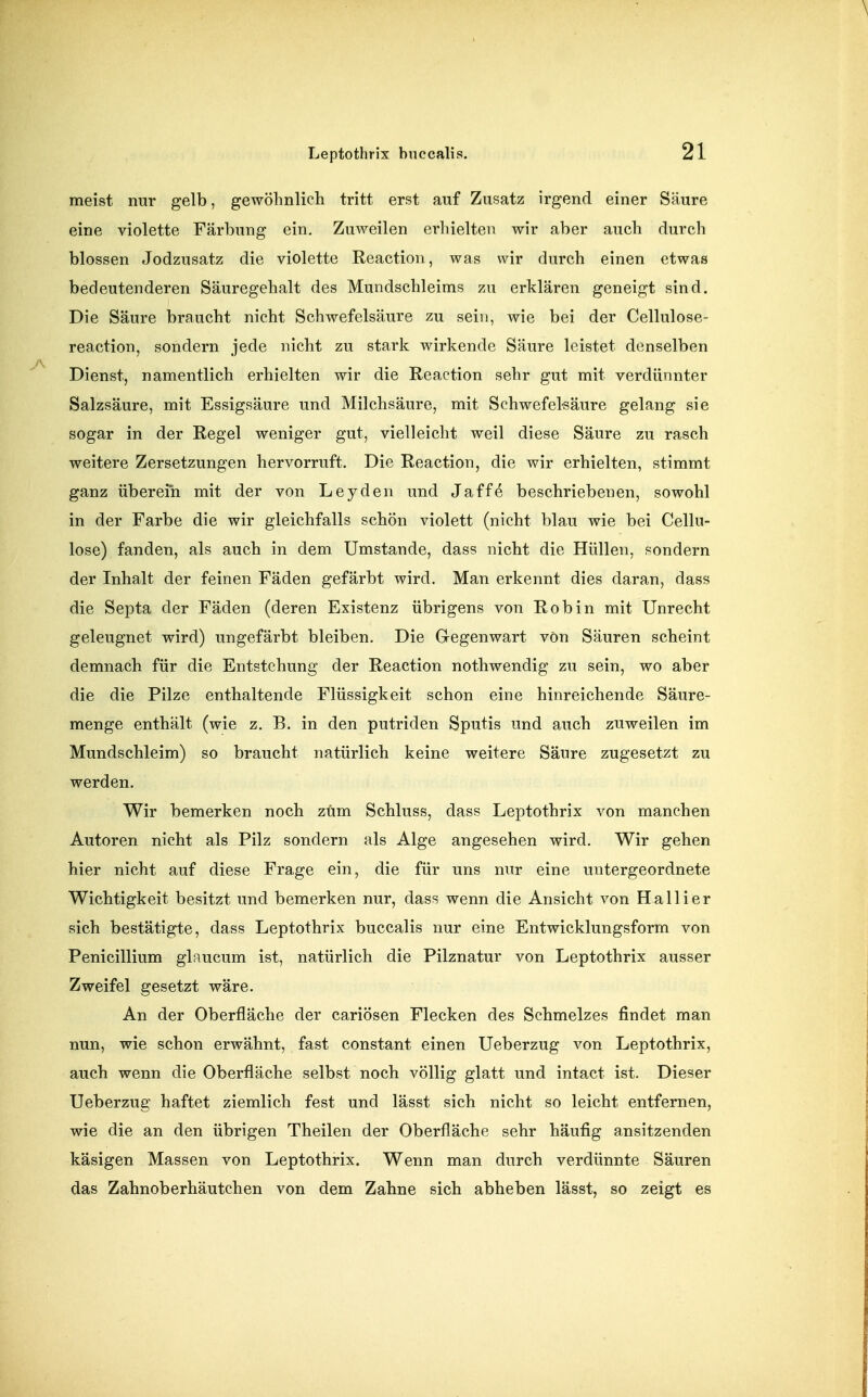 meist nur gelb, gewöhnlich tritt erst auf Zusatz irgend einer Säure eine violette Färbung ein. Zuweilen crliielten wir aber auch durch blossen Jodzusatz die violette Reaction, was wir durch einen etwas bedeutenderen Säuregehalt des Mundschleims zu erklären geneigt sind. Die Säure braucht nicht Schwefelsäure zu sein, wie bei der Cellulose- reaction, sondern jede nicht zu stark wirkende Säure leistet denselben Dienst, namentlich erhielten wir die Reaction sehr gut mit verdünnter Salzsäure, mit Essigsäure und Milchsäure, mit Schwefelsäure gelang sie sogar in der Regel weniger gut, vielleicht weil diese Säure zu rasch weitere Zersetzungen hervorruft. Die Reaction, die wir erhielten, stimmt ganz überein mit der von Leyden und Jaffe beschriebenen, sowohl in der Farbe die wir gleichfalls schön violett (nicht blau wie bei Cellu- lose) fanden, als auch in dem Umstände, dass nicht die Hüllen, sondern der Inhalt der feinen Fäden gefärbt wird. Man erkennt dies daran, dass die Septa der Fäden (deren Existenz übrigens von Robin mit Unrecht geleugnet wird) ungefärbt bleiben. Die G-egenwart von Säuren scheint demnach für die Entstehung der Reaction nothwendig zu sein, wo aber die die Pilze enthaltende Flüssigkeit schon eine hinreichende Säure- menge enthält (wie z. B. in den putriden Sputis und auch zuweilen im Mundschleim) so braucht natürlich keine weitere Säure zugesetzt zu werden. Wir bemerken noch zum Schluss, dass Leptothrix von manchen Autoren nicht als Pilz sondern als Alge angesehen wird. Wir gehen hier nicht auf diese Frage ein, die für uns nur eine untergeordnete Wichtigkeit besitzt und bemerken nur, dass wenn die Ansicht von Hallier sich bestätigte, dass Leptothrix buccalis nur eine Entwicklungsform von Penicillium glaucum ist, natürlich die Pilznatur von Leptothrix ausser Zweifel gesetzt wäre. An der Oberfläche der cariösen Flecken des Schmelzes findet man nun, wie schon erwähnt, fast constant einen Ueberzug von Leptothrix, auch wenn die Oberfläche selbst noch völlig glatt und intact ist. Dieser Ueberzug haftet ziemlich fest und lässt sich nicht so leicht entfernen, wie die an den übrigen Theilen der Oberfläche sehr häufig ansitzenden käsigen Massen von Leptothrix. Wenn man durch verdünnte Säuren das Zahnoberhäutchen von dem Zahne sich abheben lässt, so zeigt es
