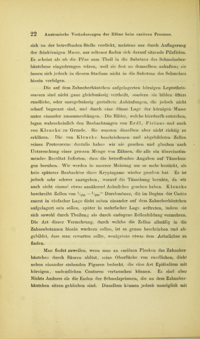 sich an der betreffenden Stelle verdickt, meistens nur durch Auflagerung der feinkörnigen Masse, nur seltener finden sich darauf sitzende Pilzfäden. Es seheint als ob die Pilze zum Theil in die Substanz des Schmelzober- häutchens eingedrungen wären, weil sie fest an demselben anhaften 5 sie lassen sich jedoch in diesem Stadium nicht in die Substanz des Schmelzes hinein verfolgen. Die auf dem Zahnoberhäutchen aufgelagerten körnigen Leptothrix- massen sind nicht ganz gleichmässig vertheilt, sondern sie bilden öfters rundliche, oder unregelmässig gestaltete Anhäufungen, die jedoch nicht scharf begrenzt sind, und durch eine dünne Lage der körnigen Masse unter einander zusammenhängen. Die Bilder, welche hierdurch entstehen, lagen wahrscheinlich den Beobachtungen von Erdl, Ficinus und auch von Klencke zu Grunde. Sie wussten dieselben aber nicht richtig zu erklären. Die von Klencke beschriebenen und abgebildeten Zellen seines Protococcus dentalis haben wir nie gesehen und glauben nach Untersuchung einer grossen Menge von Zähnen, die alle ein übereinstim- mendes Resultat lieferten, dass die betreffenden Angaben auf Täuschun- gen beruhen. Wir werden in unserer Meinung um so mehr bestärkt, als kein späterer Beobachter diese Kryptogame wieder gesehen hat. Es ist jedoch sehr schwer anzugeben, worauf die Täuschung beruhte, da wir auch nicht einmal etwas annähernd Aehnliches gesehen haben. Klencke beschreibt Zellen von V150 ~ V200''' Durchmesser, die im Beginn der Caries zuerst in einfacher Lage dicht neben einander auf dem Zahnoberhäutchen aufgelagert sein sollen, später in mehrfacher Lage auftreten, indem sie sich sowohl durch Theilung als durch endogene Zellenbildung vermehren. Die Art dieser Vermehrung, durch welche die Zellen allmälig in die Zalmsubstanzen hinein wnchern sollen, ist so genau beschrieben und ab- gebildet, dass man erwarten sollte, wenigstens etwas dem Aehnliches zu finden. Man findet zuweilen, wenn man an cariösen Flecken das Zahnober- häutchen durch Säuren ablöst, seine Oberfläche von rundlichen, dicht neben einander stehenden Figuren bedeckt, die eine Art Epithelium mit körnigen, undeutlichen Conturen vertauschen können. Es sind aber Nichts Anderes als die Enden der Schmelzprismen, die an dem Zahnober- häutchen sitzen geblieben sind. Dieselben können jedoch unmöglich mit
